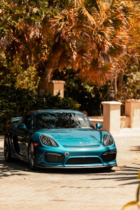 A sleek, blue sports car is parked on a sunlit driveway. The car is highlighted by the vibrant sunlight, enhancing its shiny surface and sleek design. Surrounding the driveway are lush green plants and tall palm trees, contributing to a tropical and luxurious atmosphere.