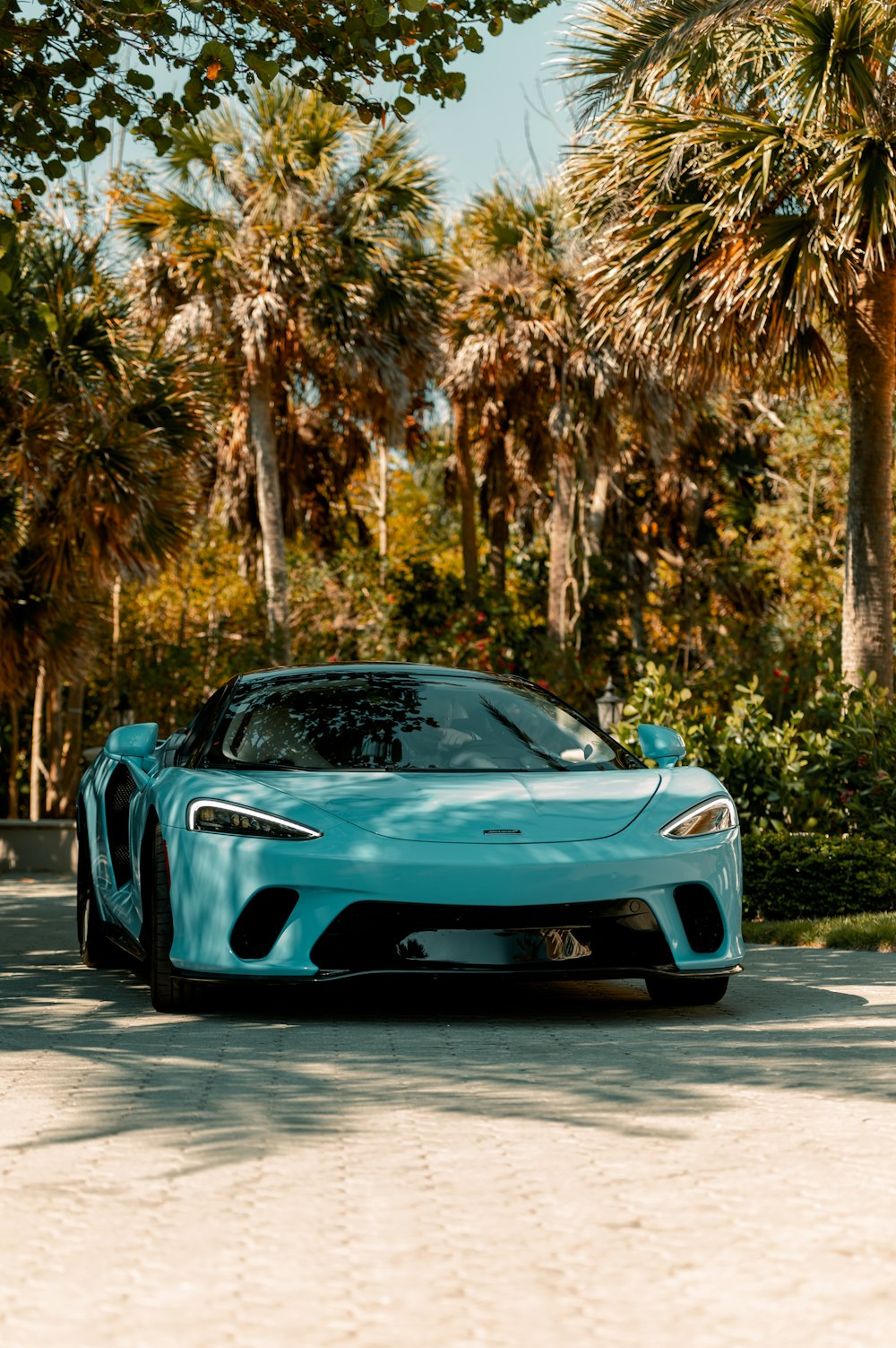 blue porsche 911 parked on road near trees during daytime