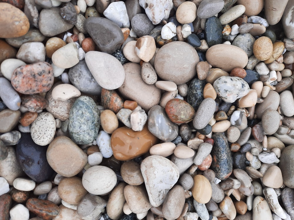 Piedras naranjas y grises sobre piedras grises y marrones