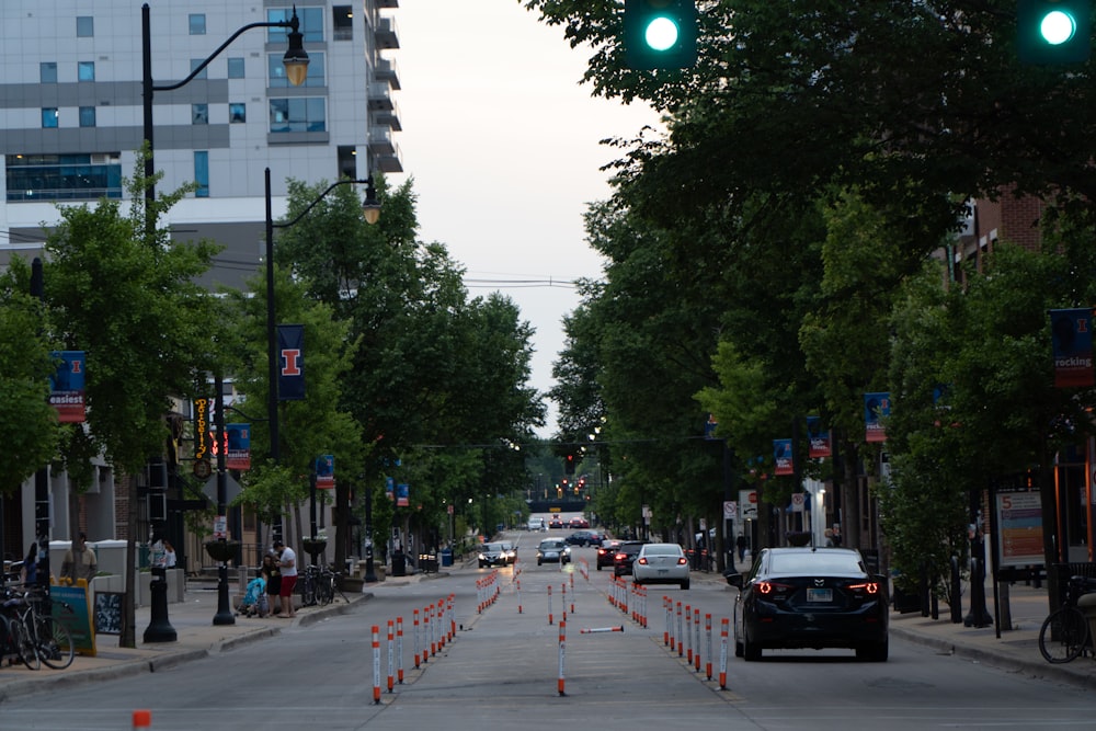 people walking on pedestrian lane during daytime