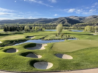 green grass field near green trees and mountains under blue sky during daytime