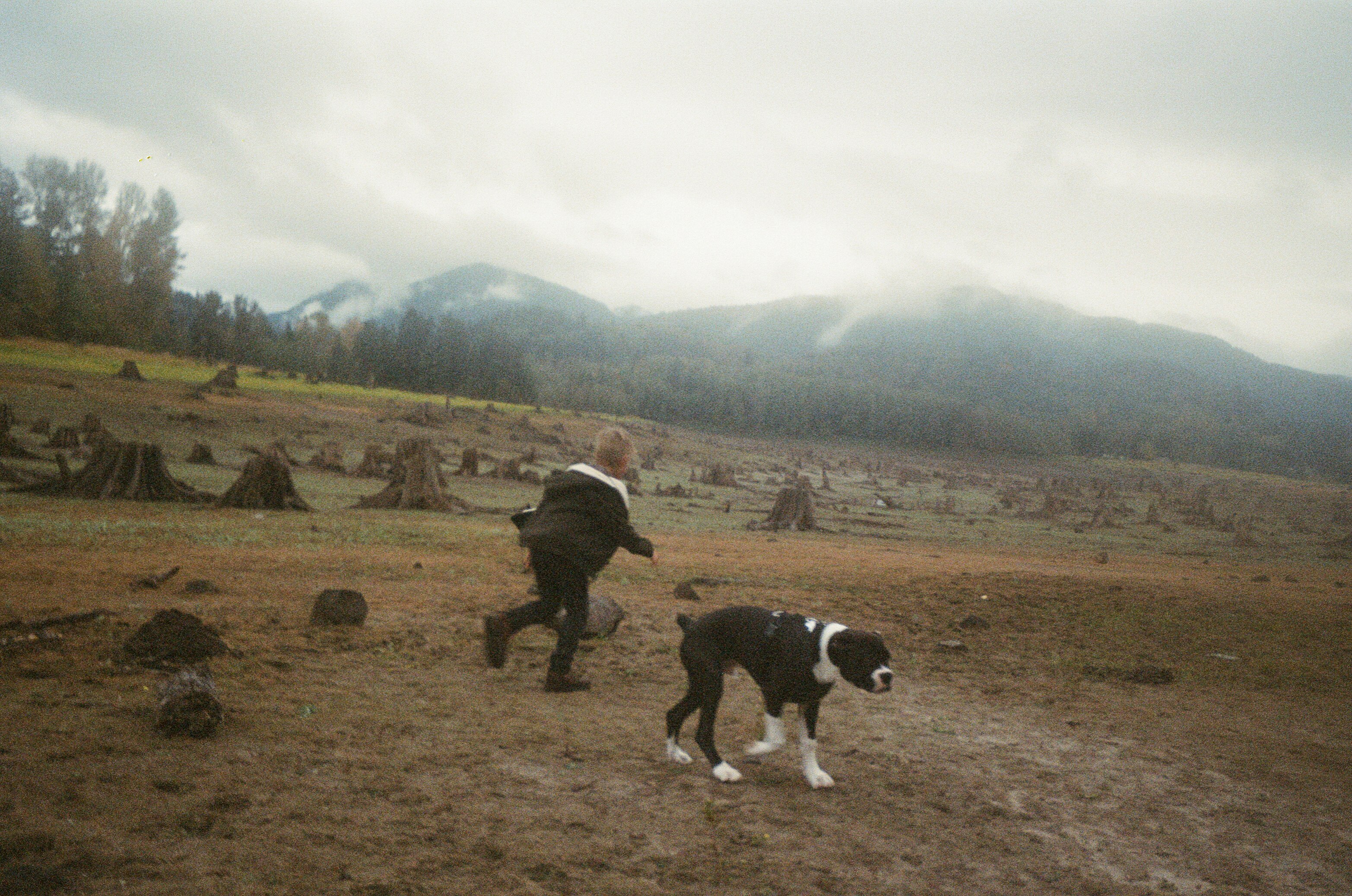 man in black jacket and black pants standing beside black and white short coated dog on on near on on