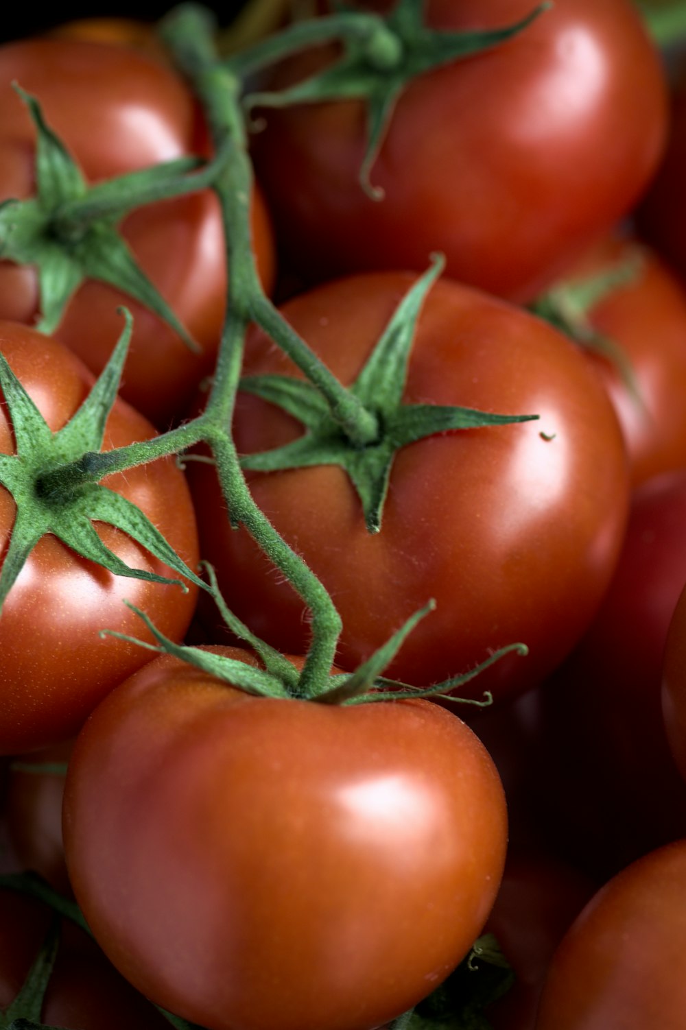 red tomato on brown wooden table