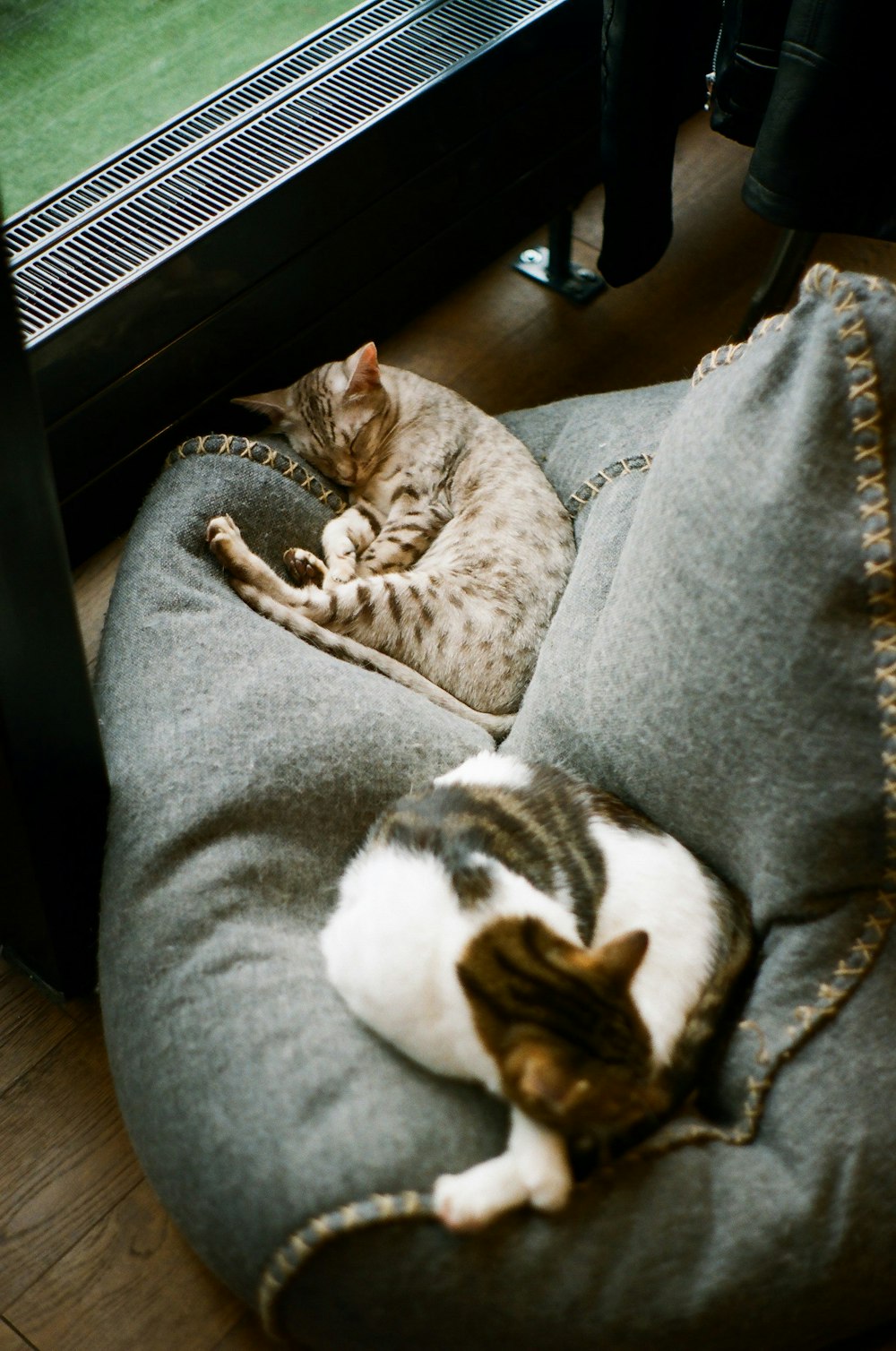 brown tabby cat lying on gray textile