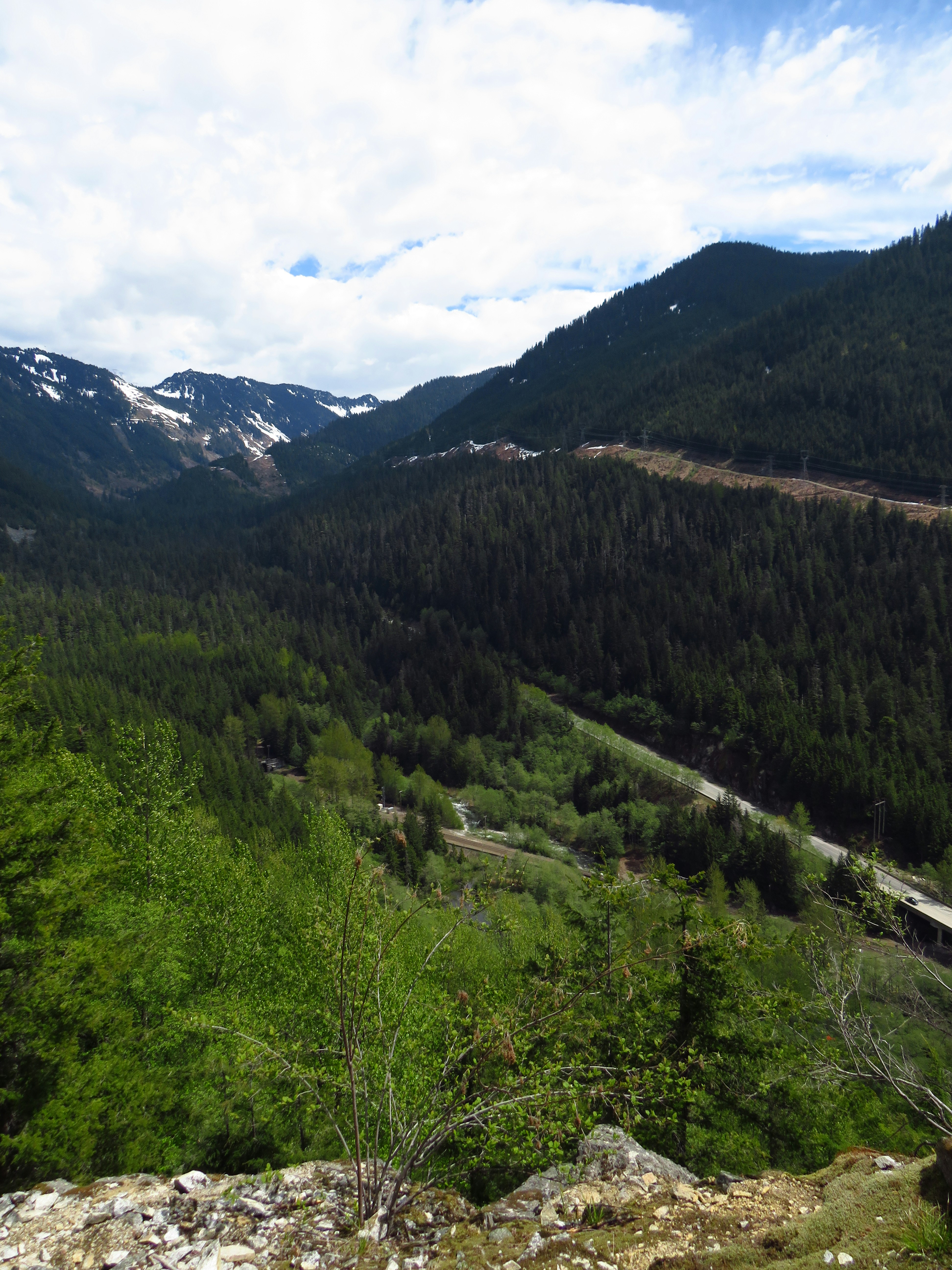 Photo by davidlangfyi