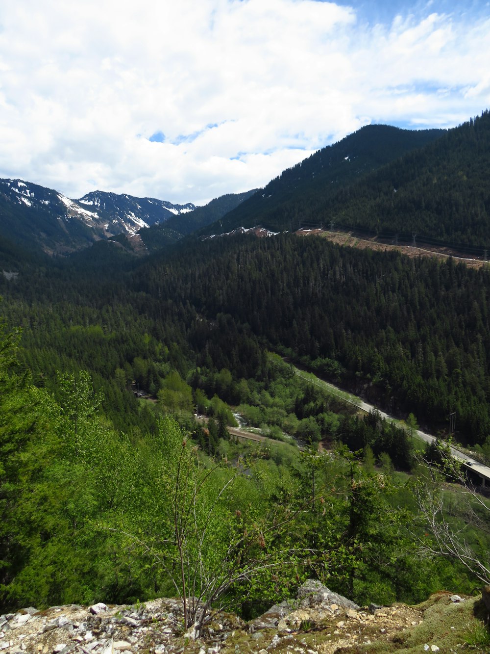 green trees on mountain under white clouds during daytime