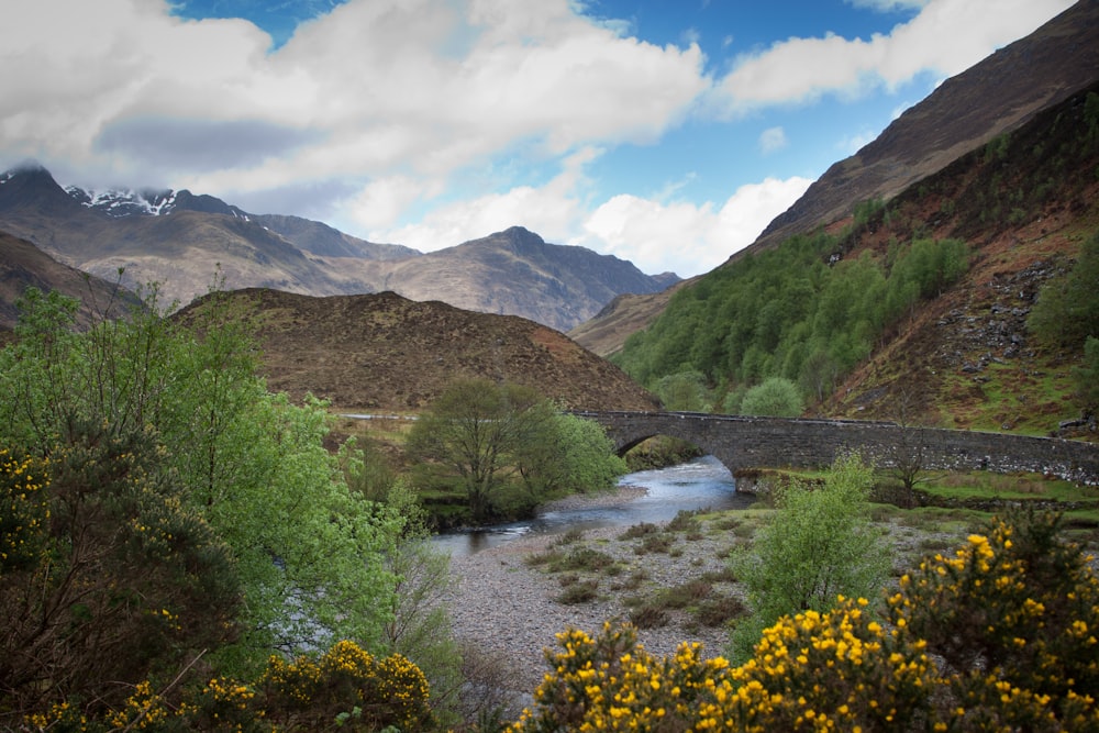 green trees near river and mountains under blue sky during daytime