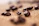 Close-up of roasted coffee beans with a textured burlap sack background.