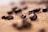 Several roasted coffee beans are scattered on a textured burlap surface, with a shallow depth of field focusing on one coffee bean. The burlap provides a rustic background, enhancing the rich, dark tones of the beans.