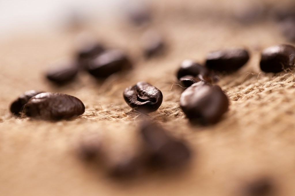 Midnight Dark Roast