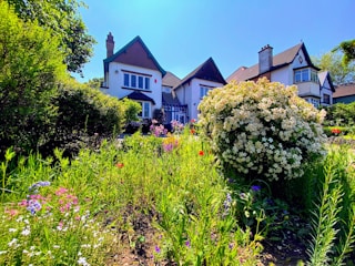 A cozy residential home with a well-maintained garden and clear blue sky.