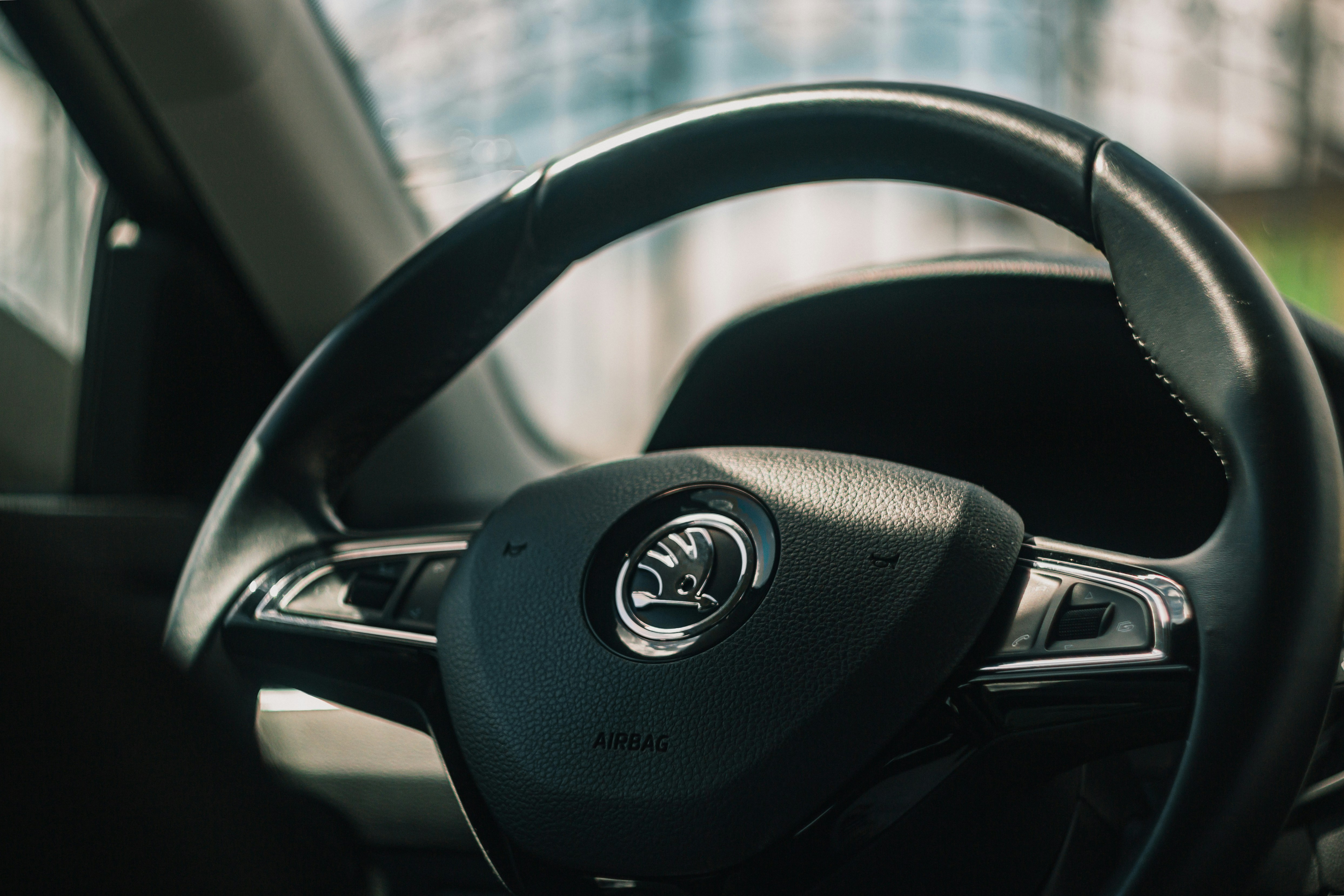 Photo by samoyedness