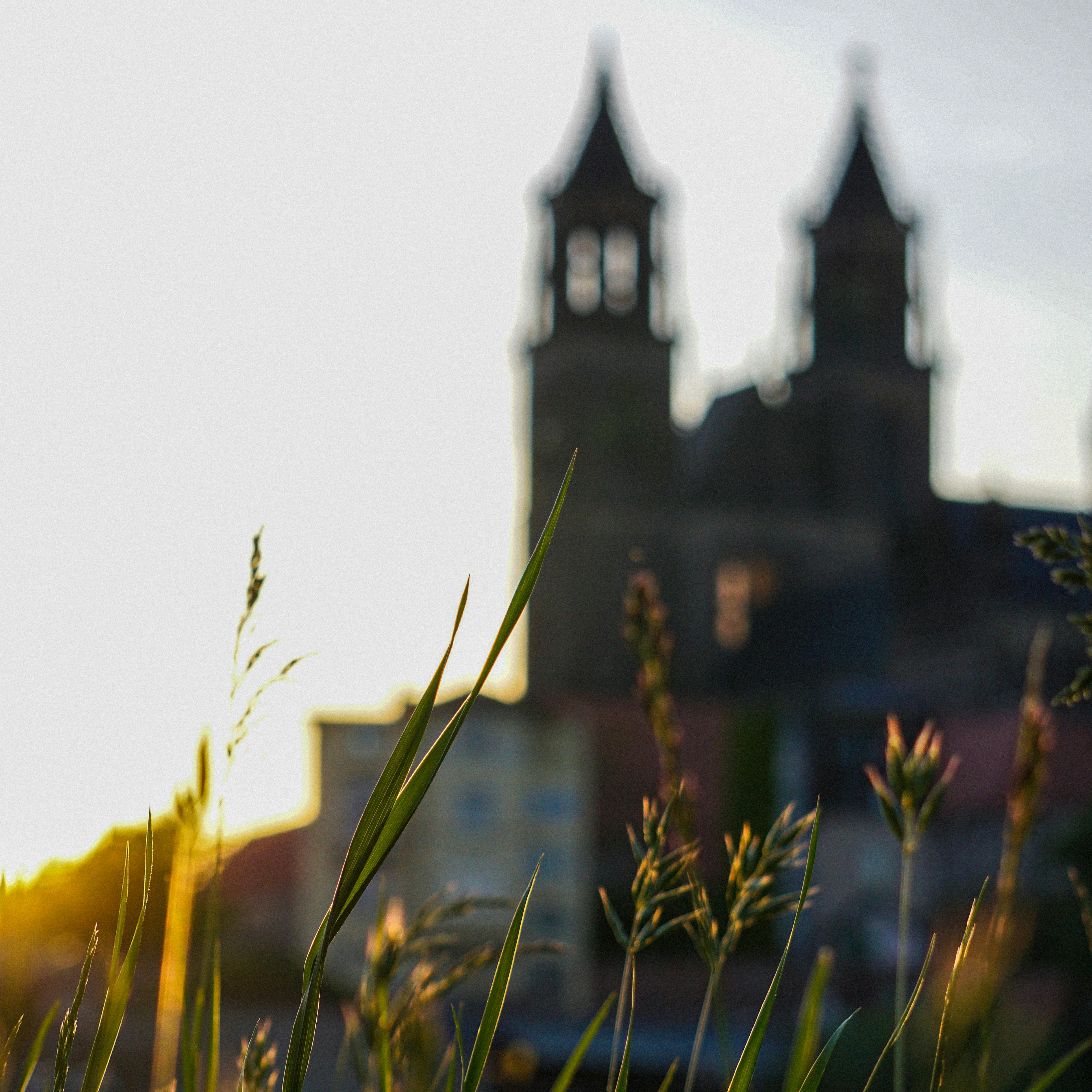 Photo by maheshkumar_painam