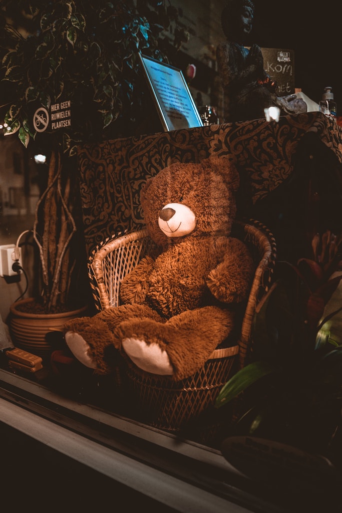 Oso Clásico de Peluche