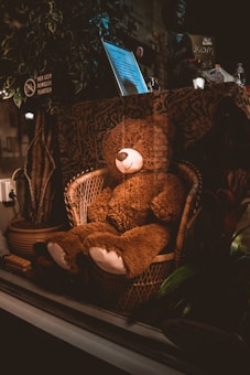 A large brown teddy bear is seated comfortably in a wicker chair surrounded by various decorative elements, including a potted plant and framed items. The setting is dimly lit, creating a cozy and tranquil ambiance. The bear is the focal point, evoking a sense of nostalgia and comfort.