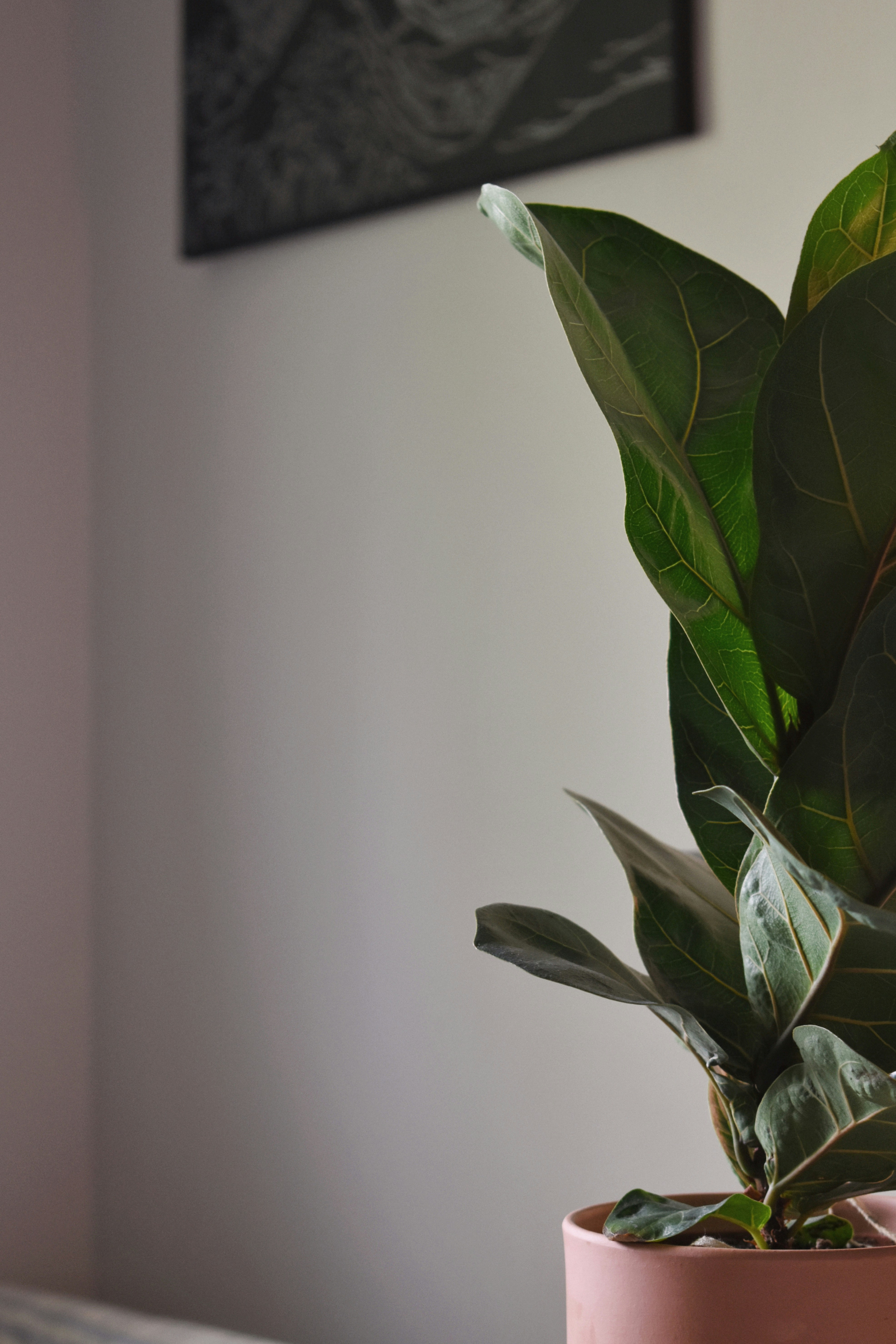 Photo by anthonytedja