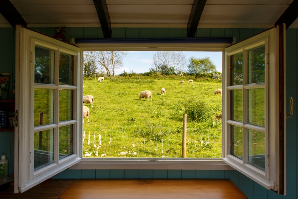 white wooden framed glass window