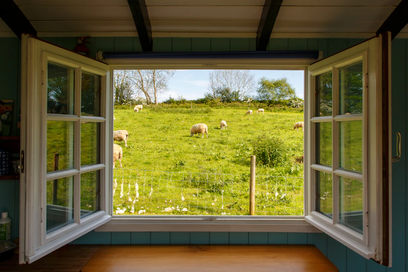 white wooden framed glass window