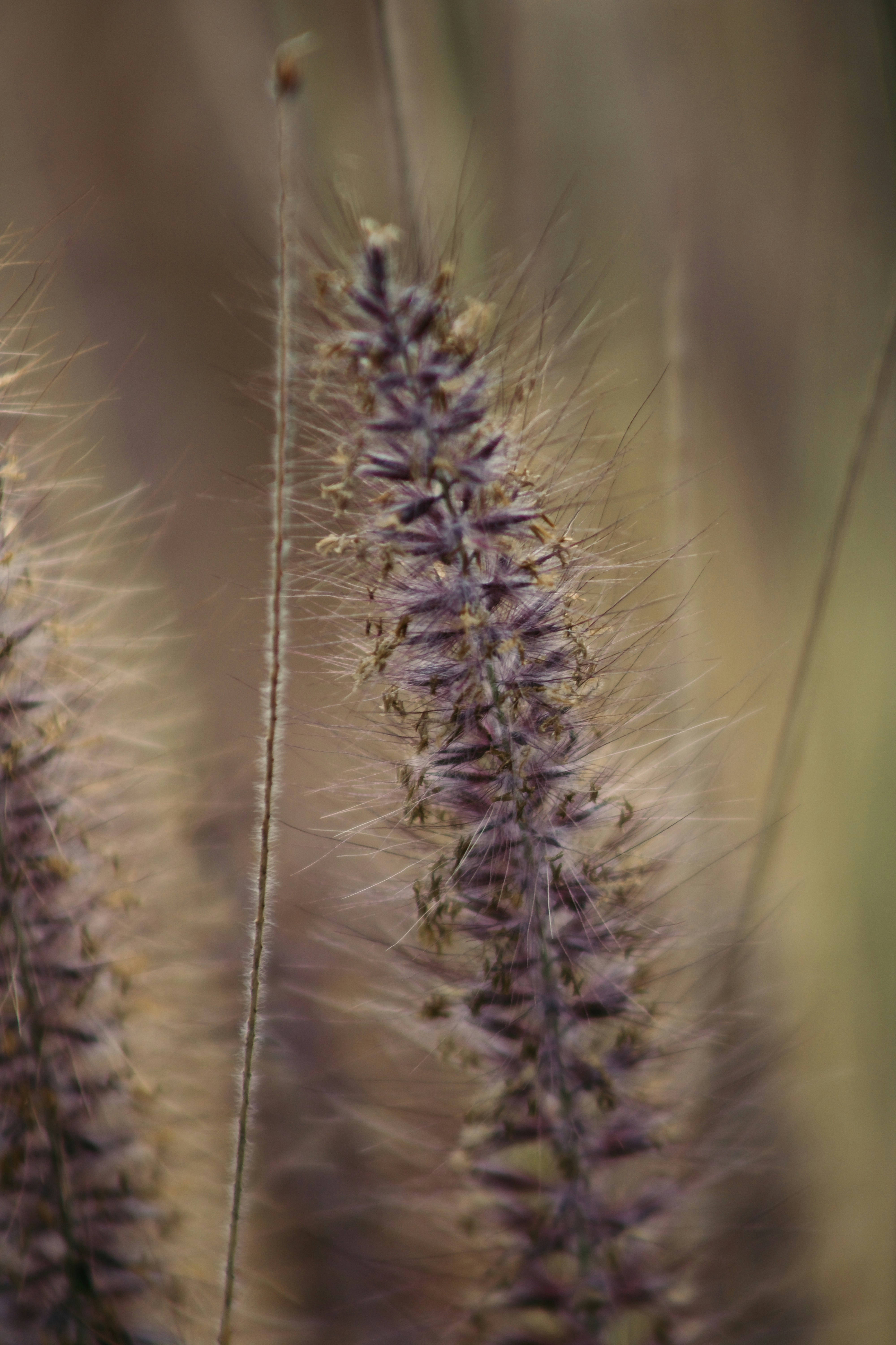 Photo by picsbyjameslee