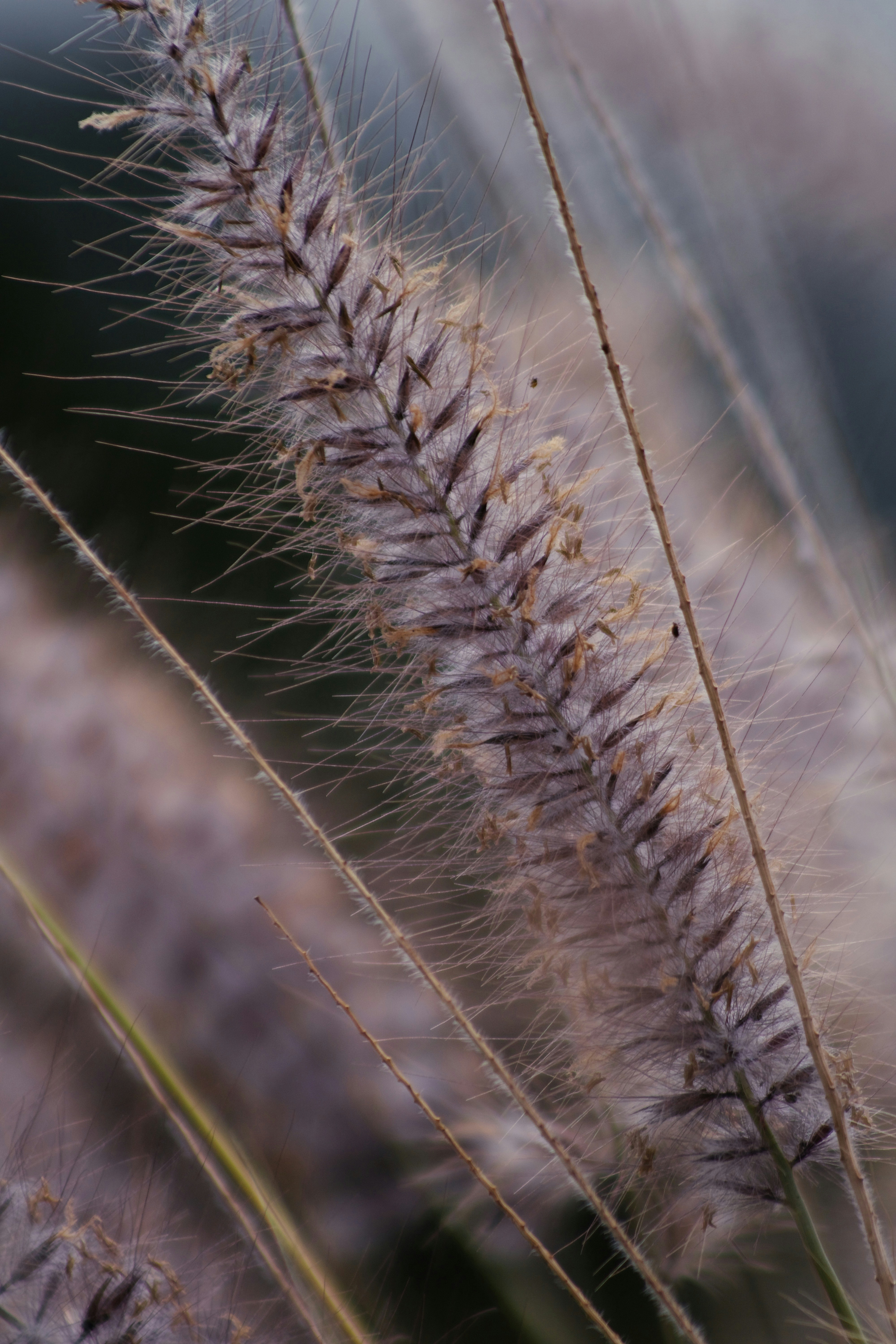 Photo by picsbyjameslee