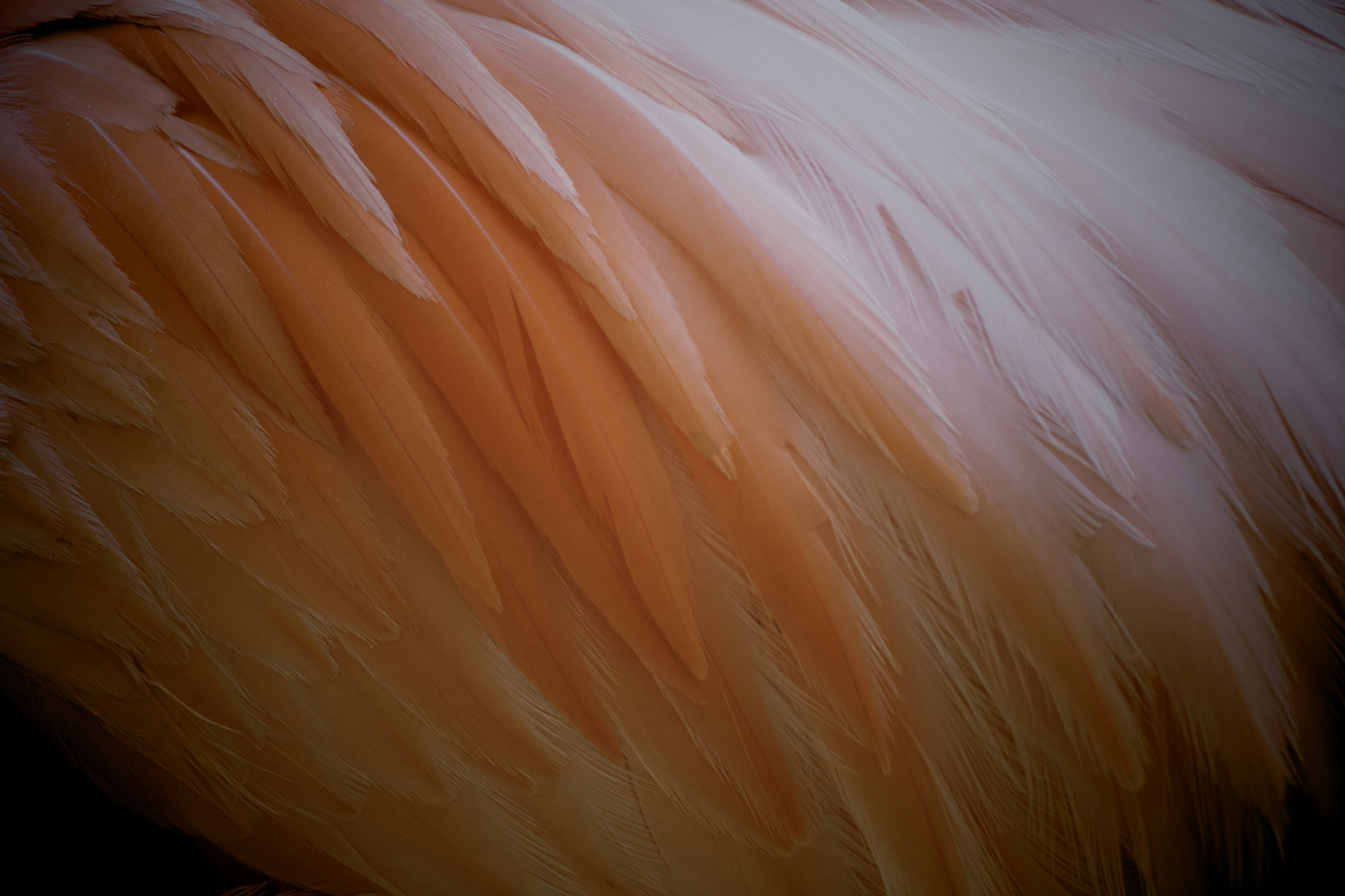 Photo by picsbyjameslee