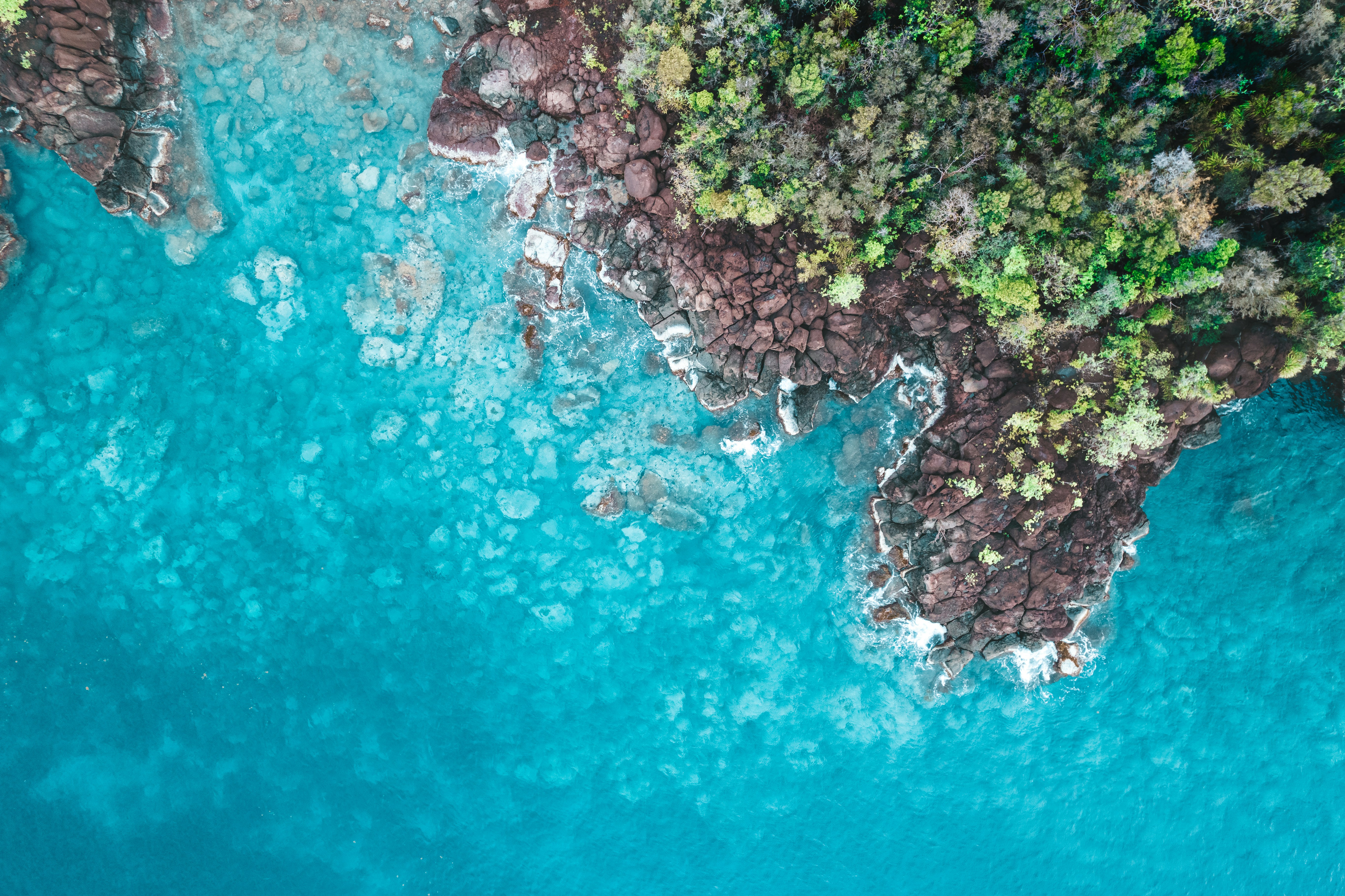 aerial view of green trees and brown rocks