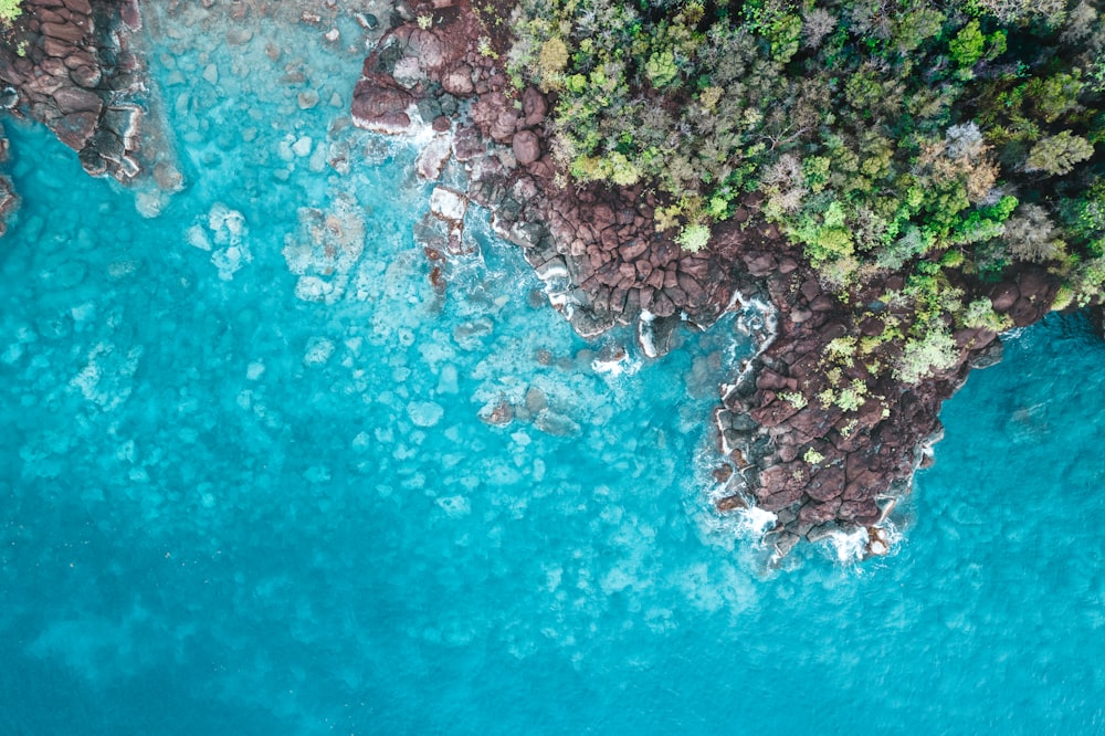 aerial view of green trees and brown rocks