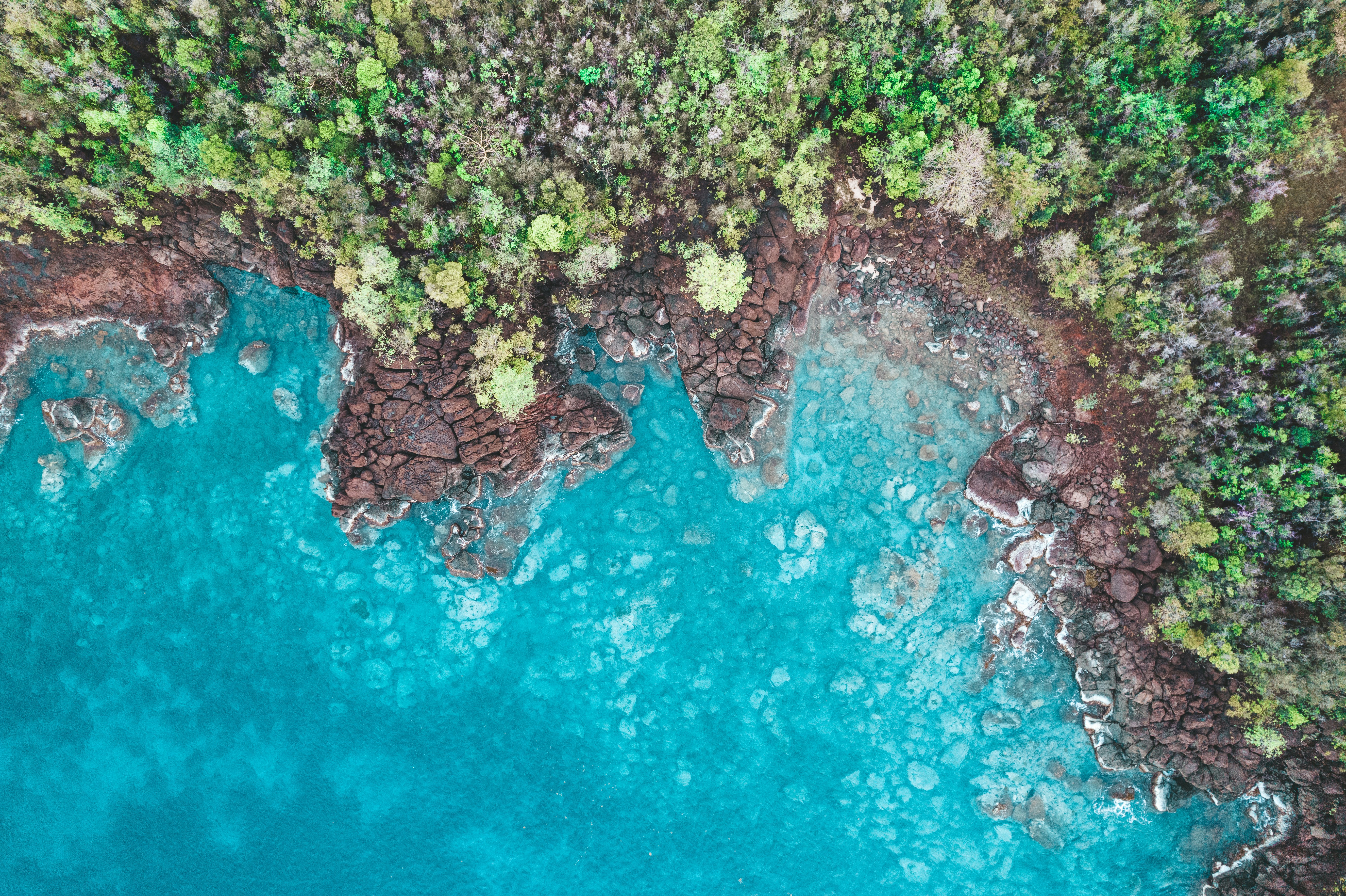 green moss on brown rock