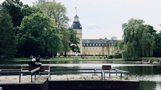 people sitting on bench near body of water during daytime