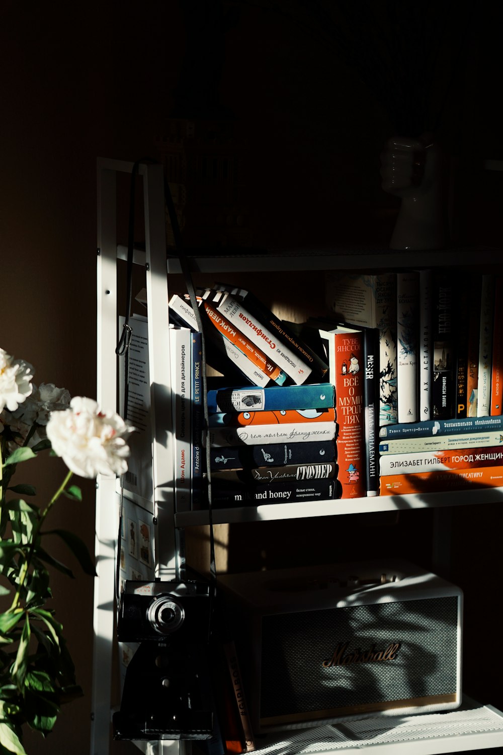 books on black wooden shelf