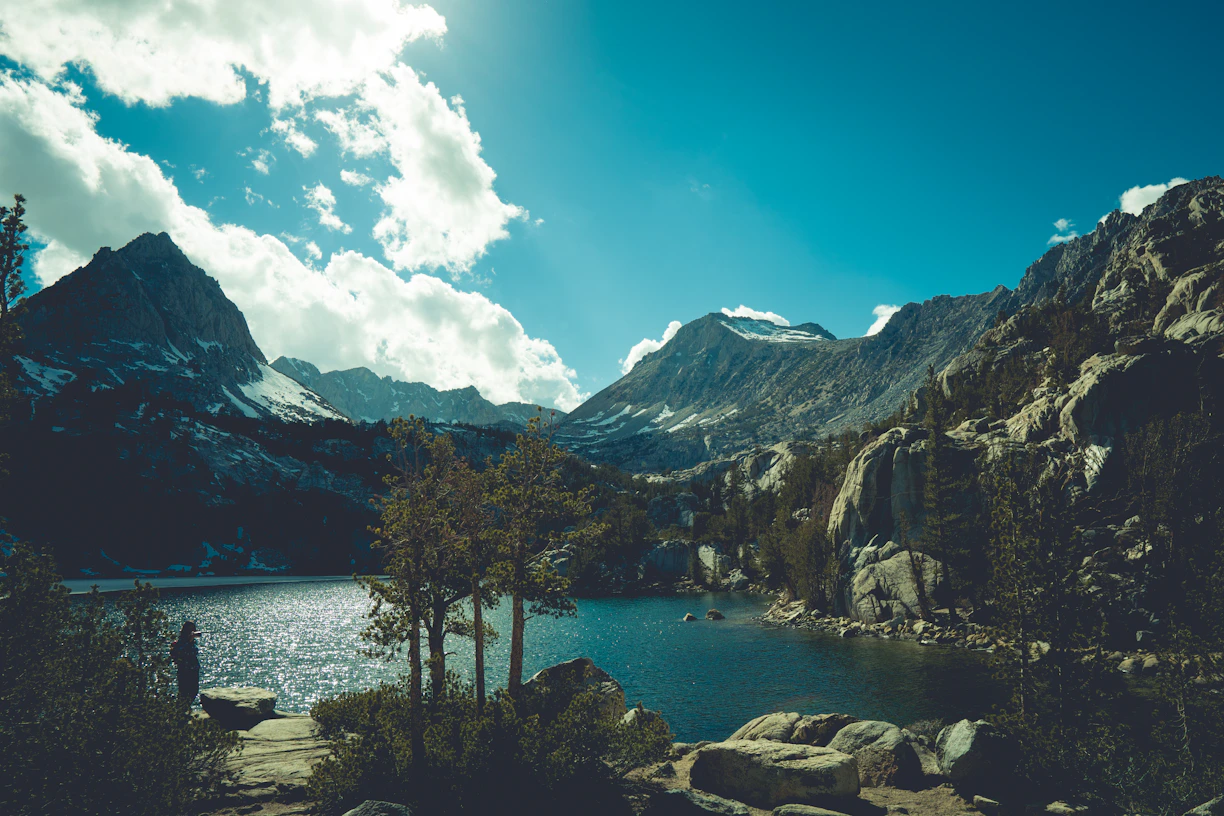 green trees near lake and mountain under blue sky during daytime