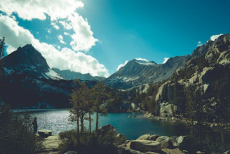 green trees near lake and mountain under blue sky during daytime