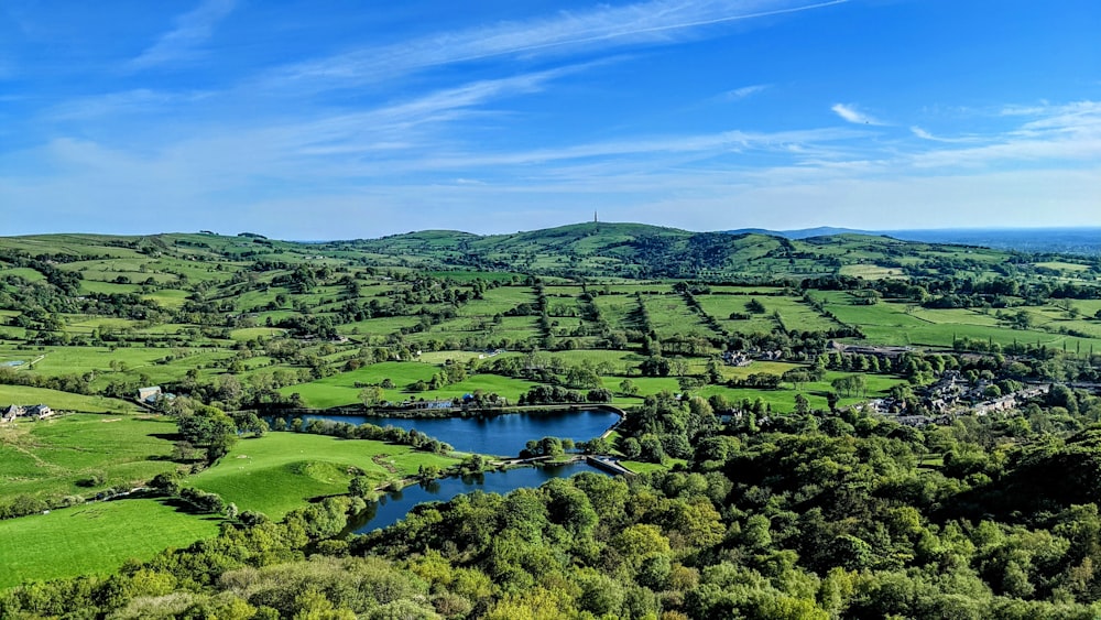 alberi verdi e campo di erba verde vicino allo specchio d'acqua sotto il cielo blu durante il giorno