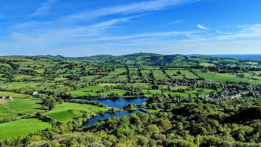 green trees and green grass field near body of water under blue sky during daytime