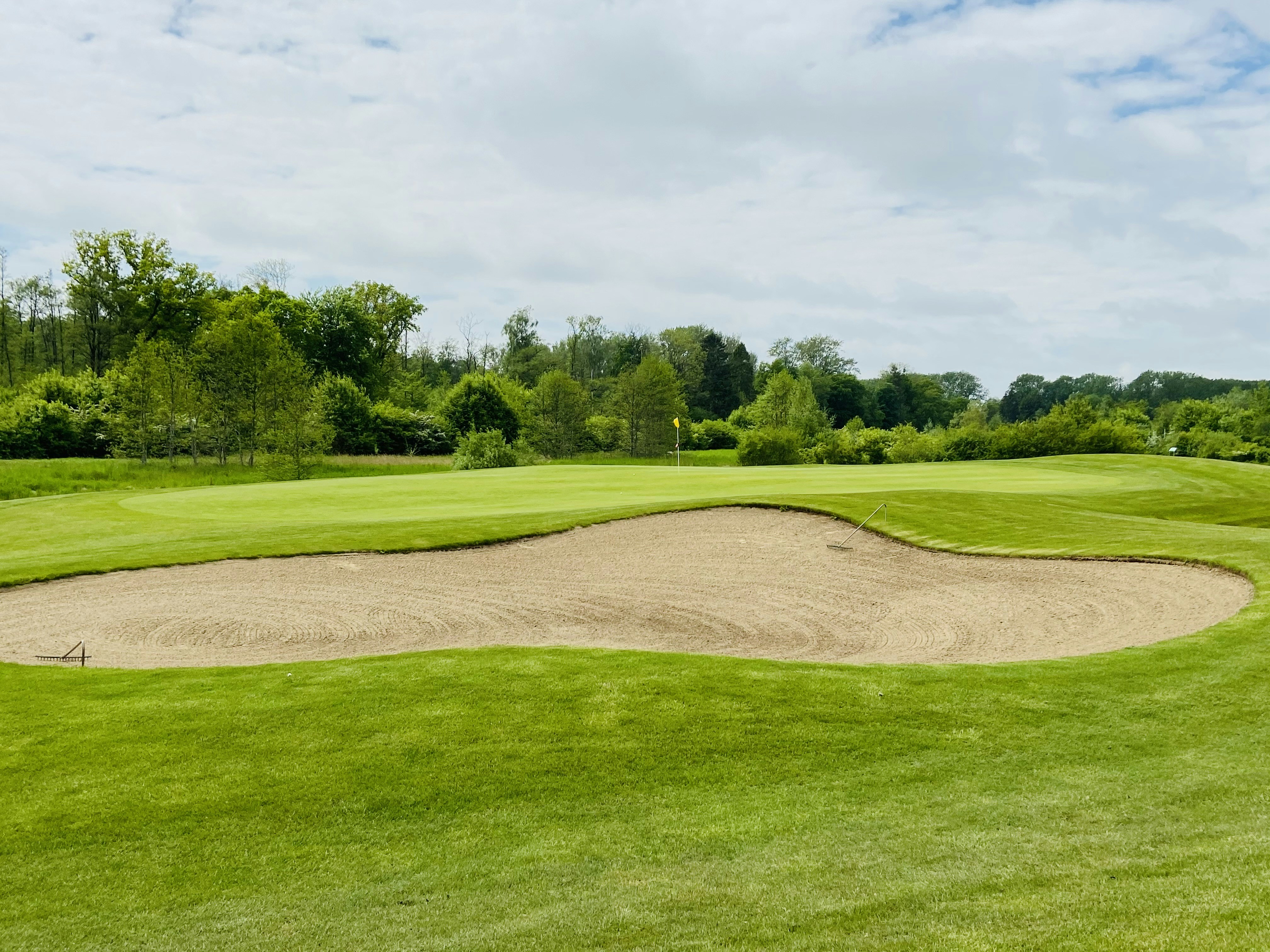 Photo by jonasfromberlin