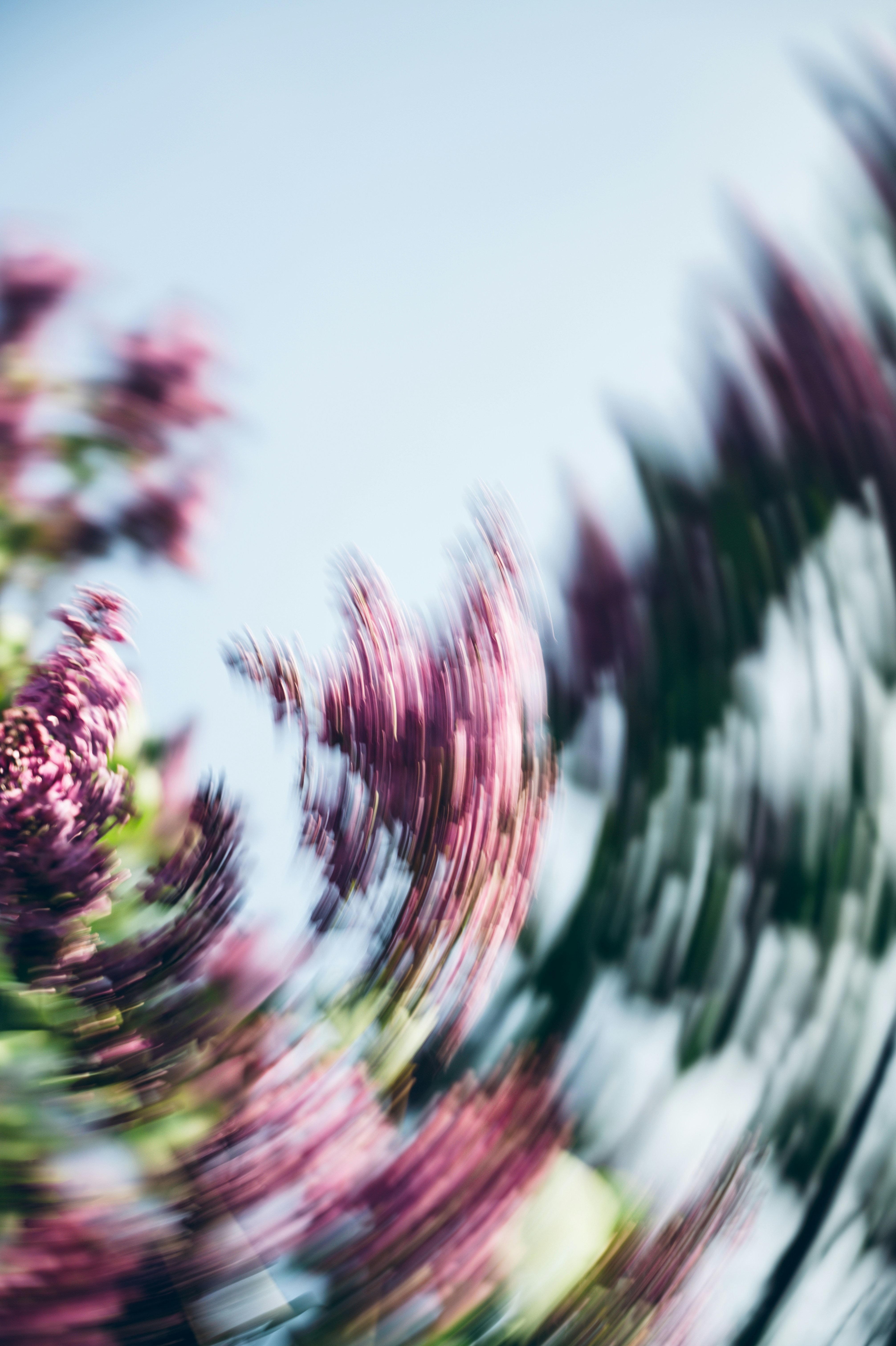 Photo by ryunosuke_kikuno