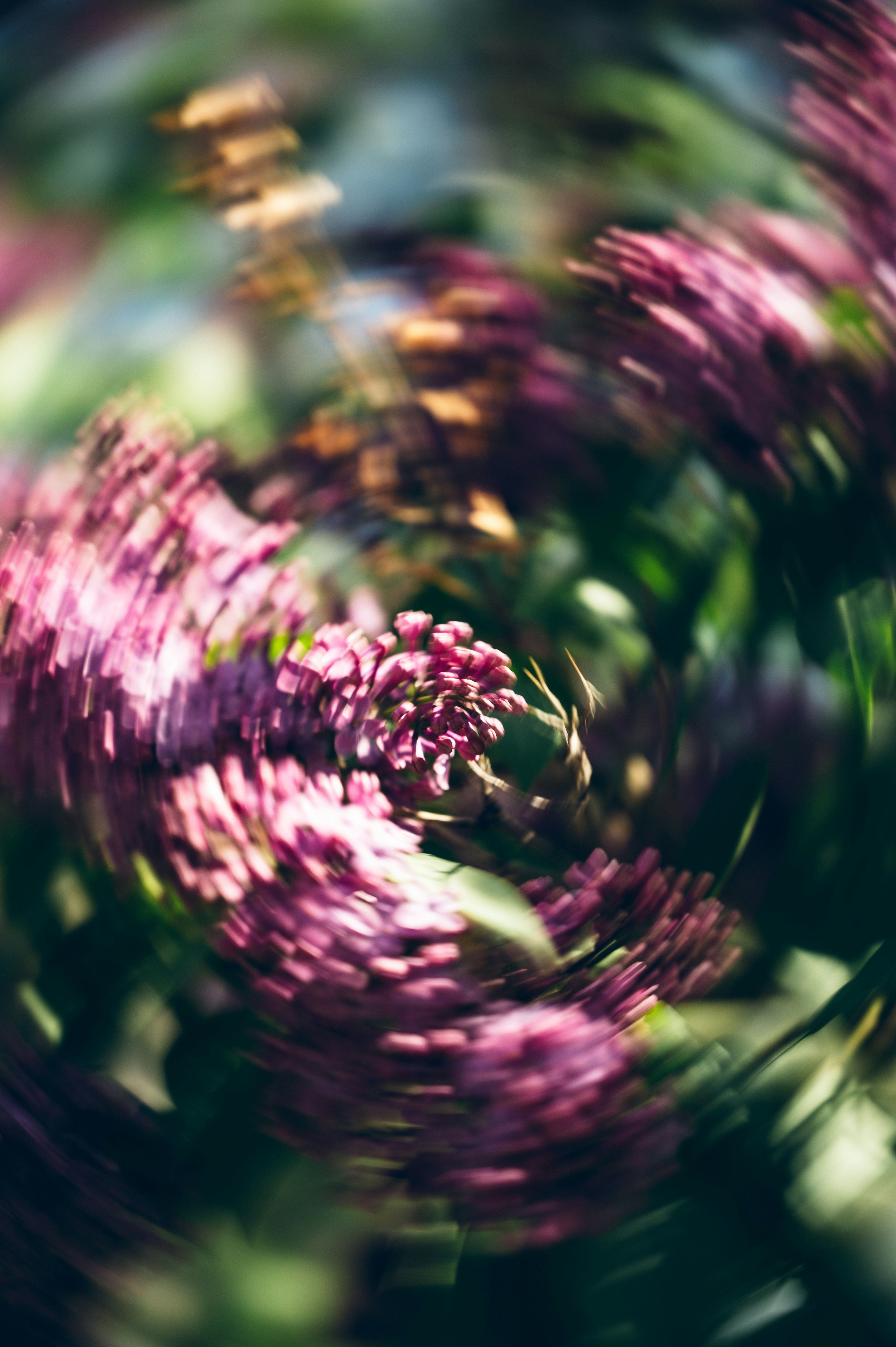 Photo by ryunosuke_kikuno