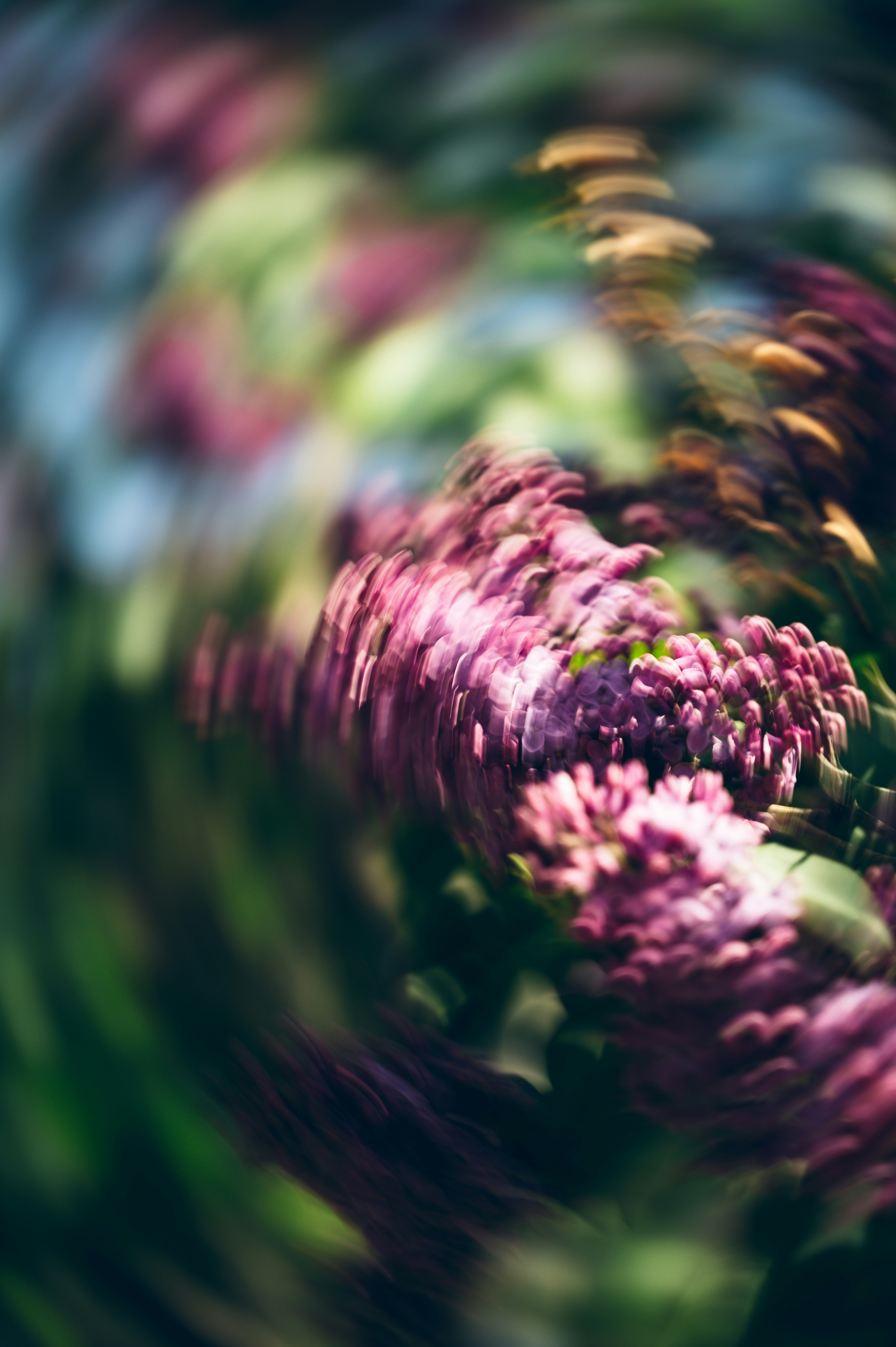 Photo by ryunosuke_kikuno