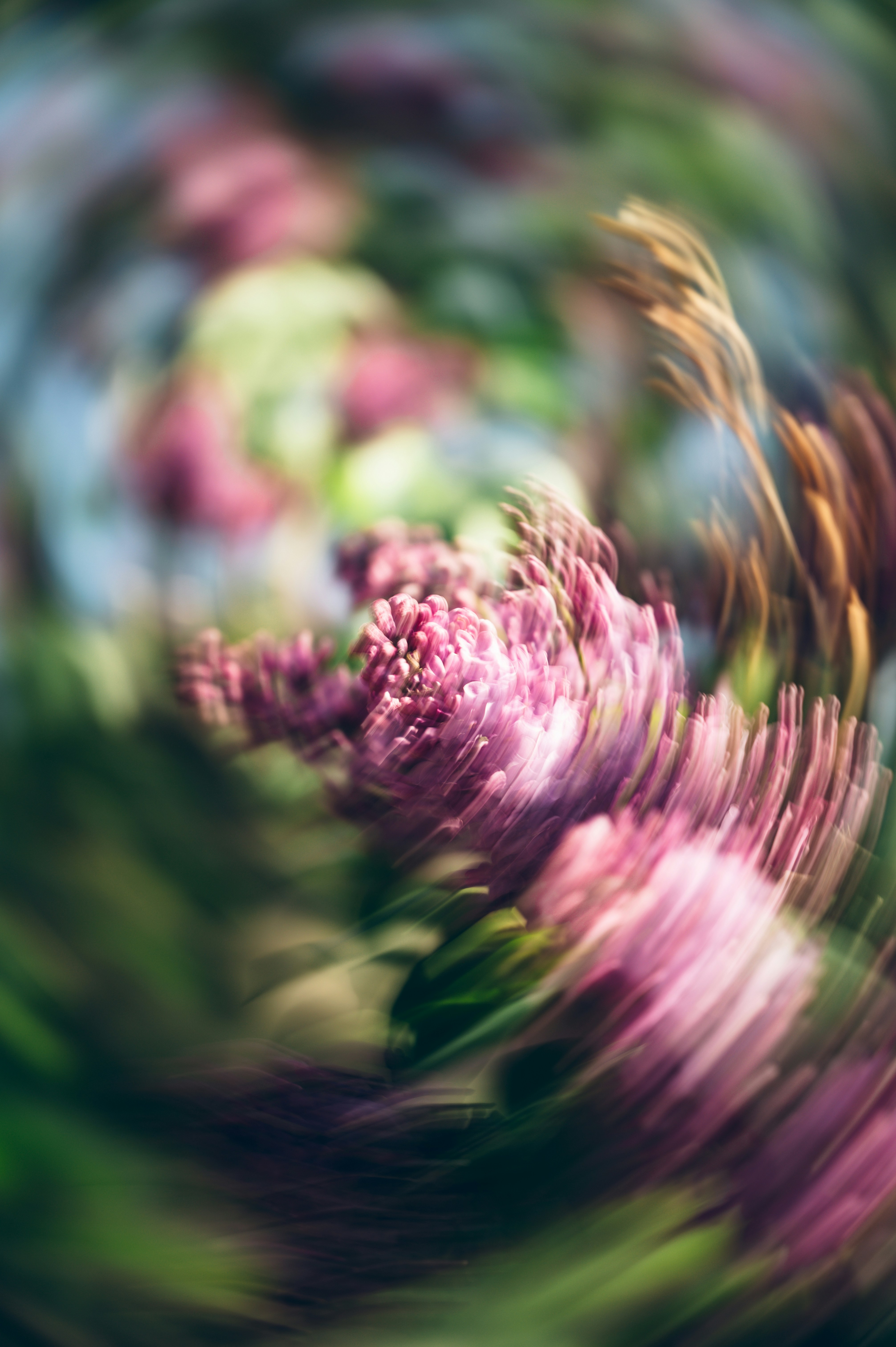 Photo by ryunosuke_kikuno