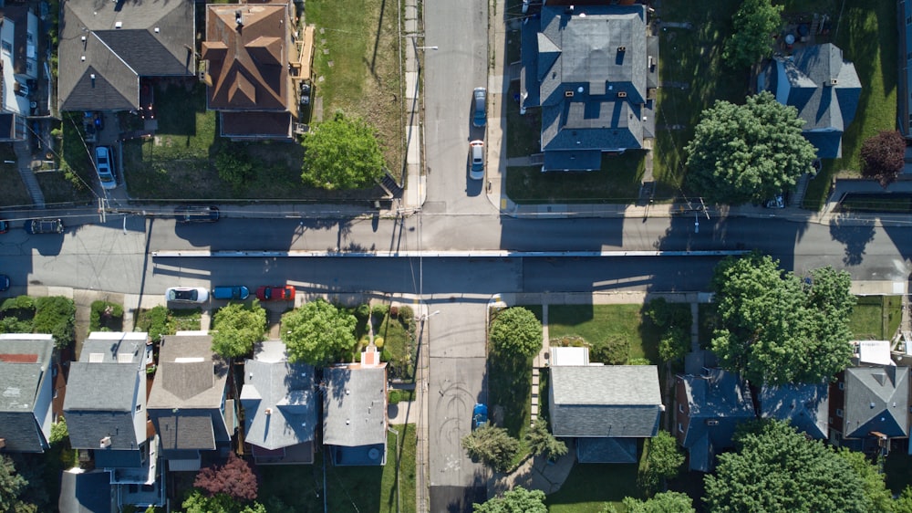 aerial view of green trees and white houses during daytime