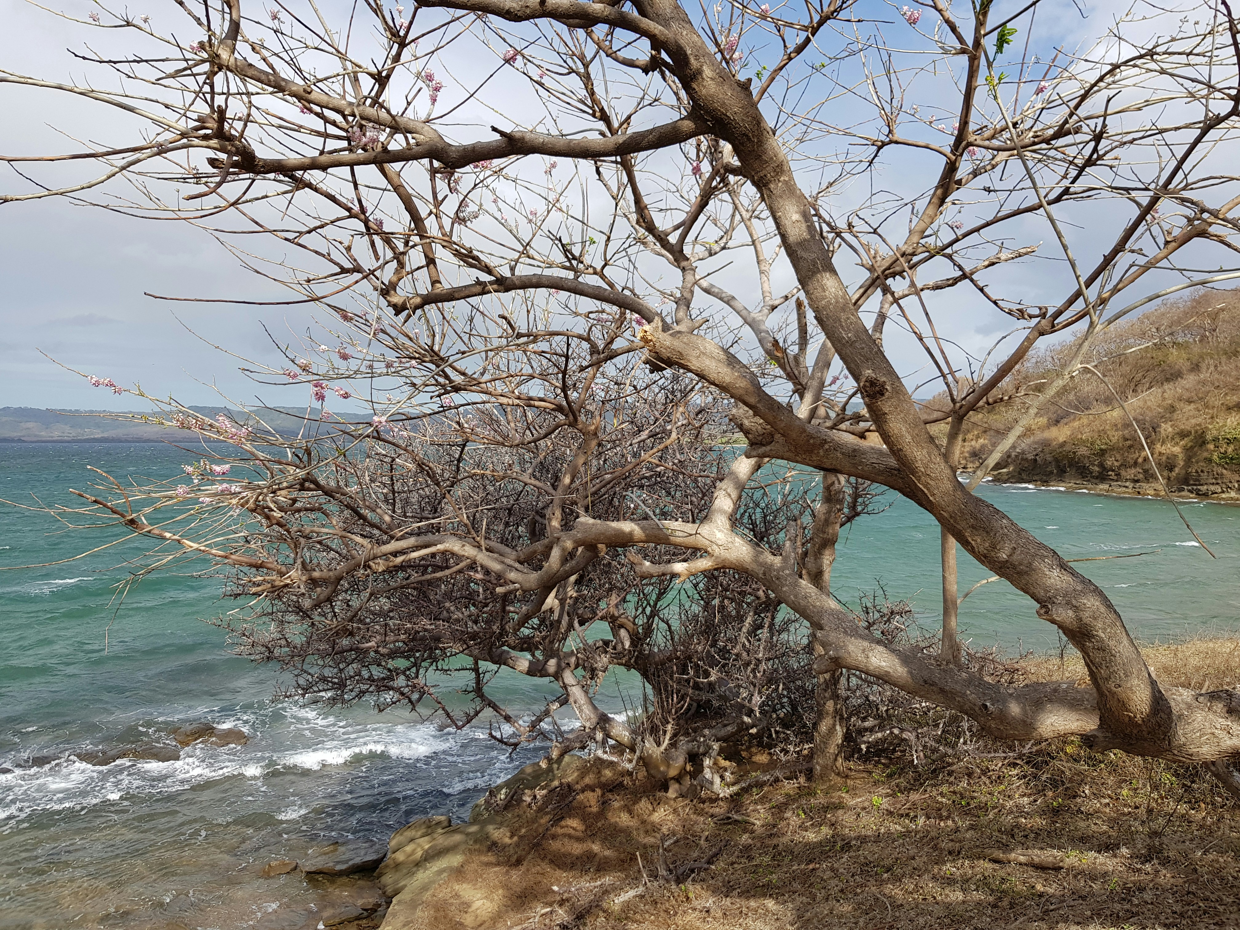 Photo by analore1960