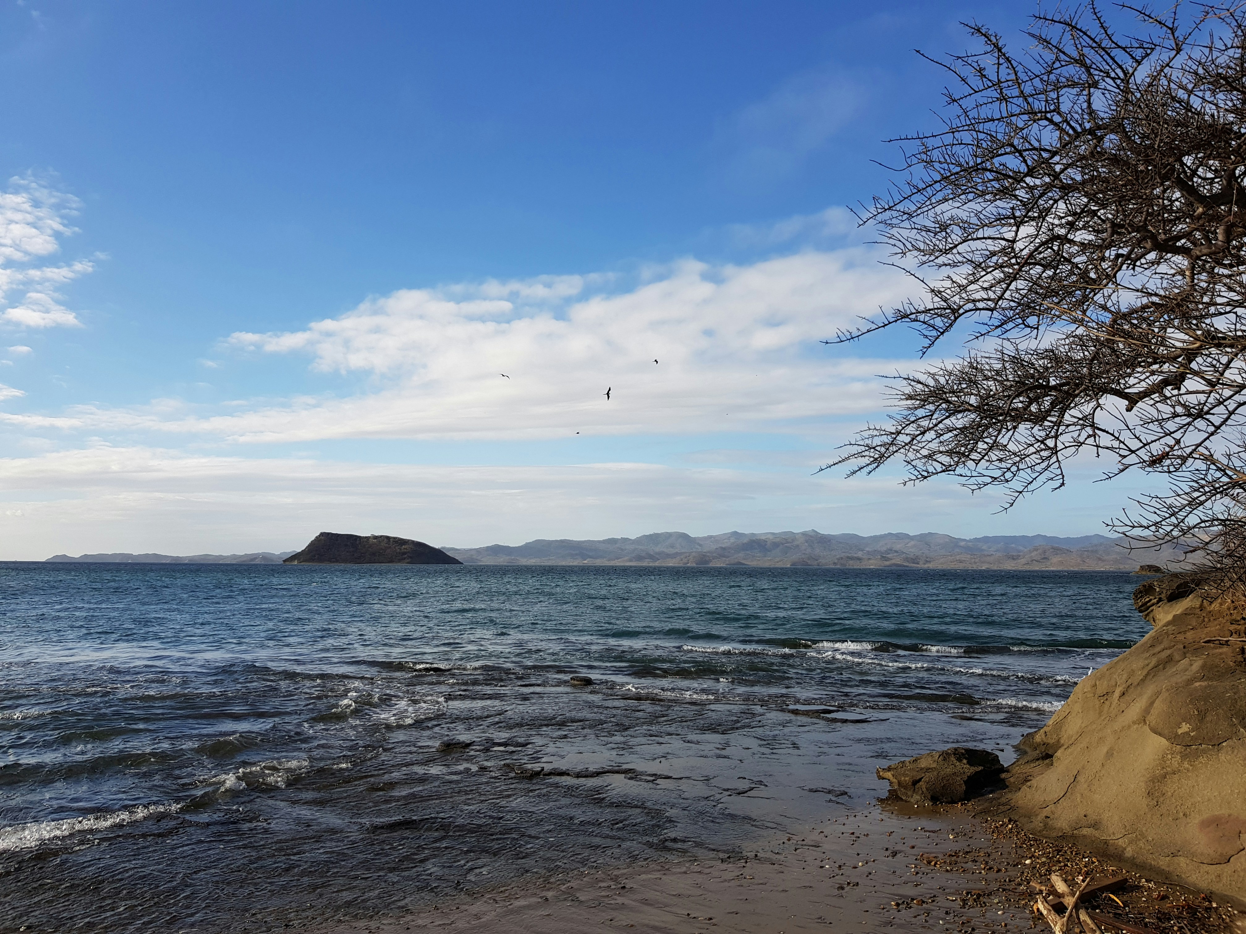 Photo by analore1960