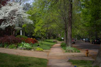 Most Walkable Neighborhoods in Anand to Explore Entirely on Foot