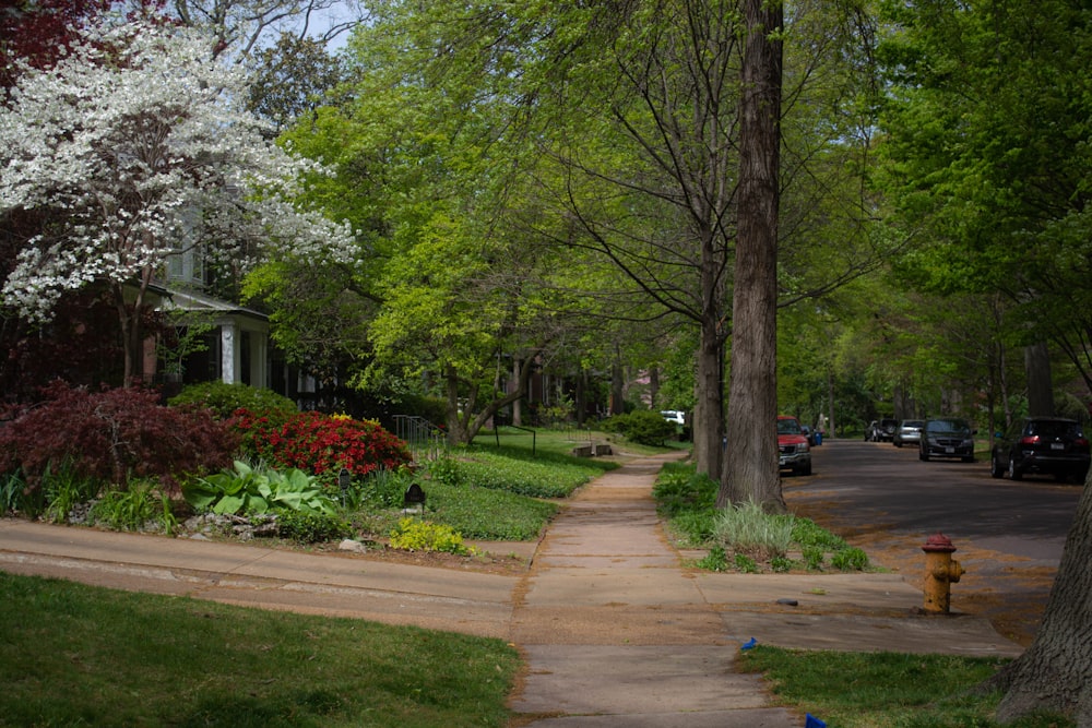 green trees near brown concrete building during daytime