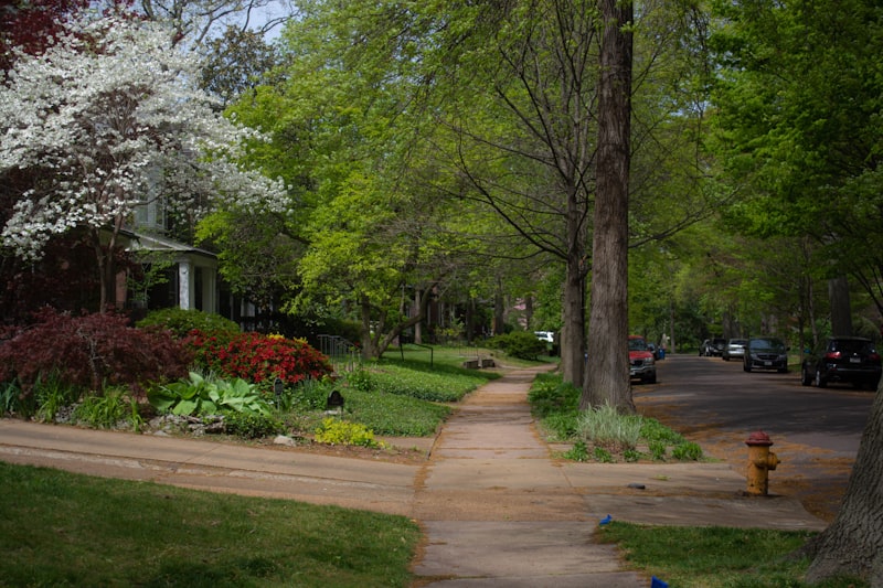 Neighbors strolling along a shaded sidewalk