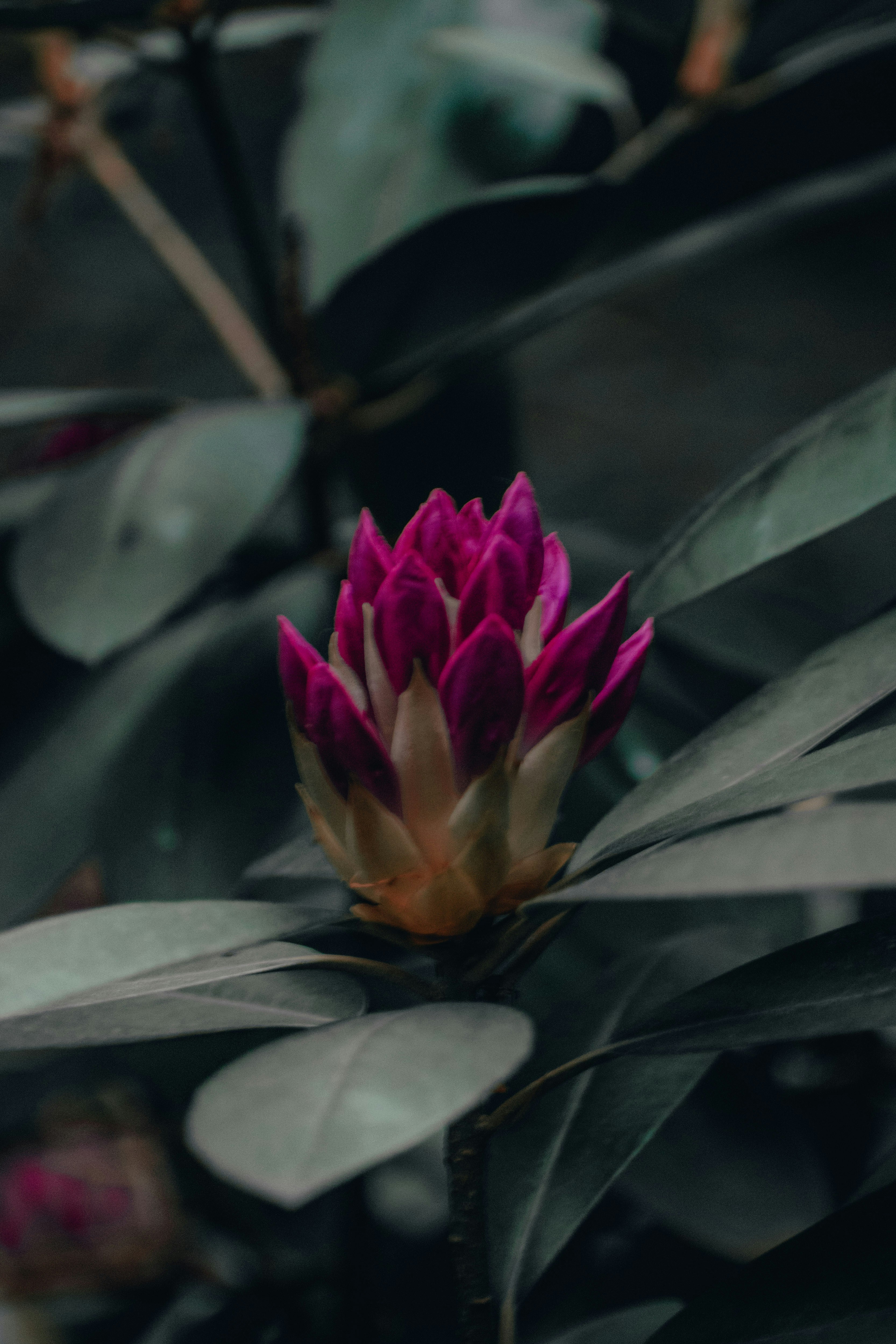 Photo by mariahhewines