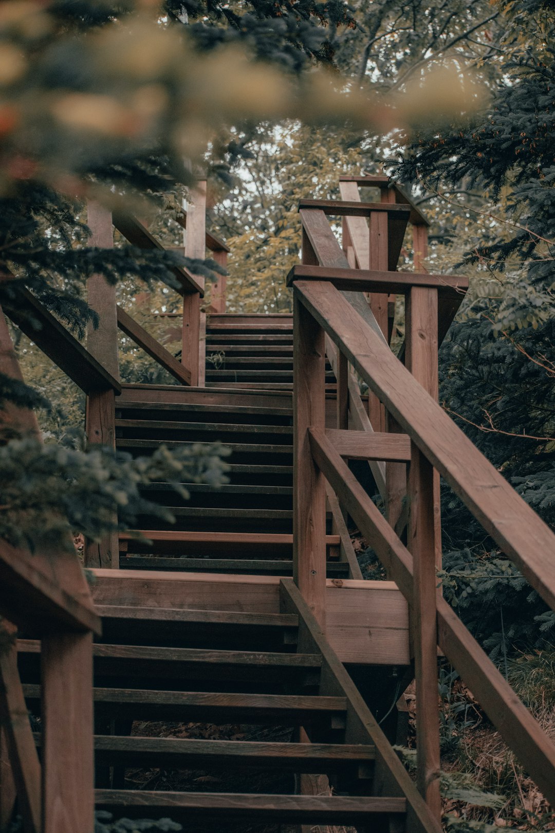 brown wooden staircase near green trees during daytime