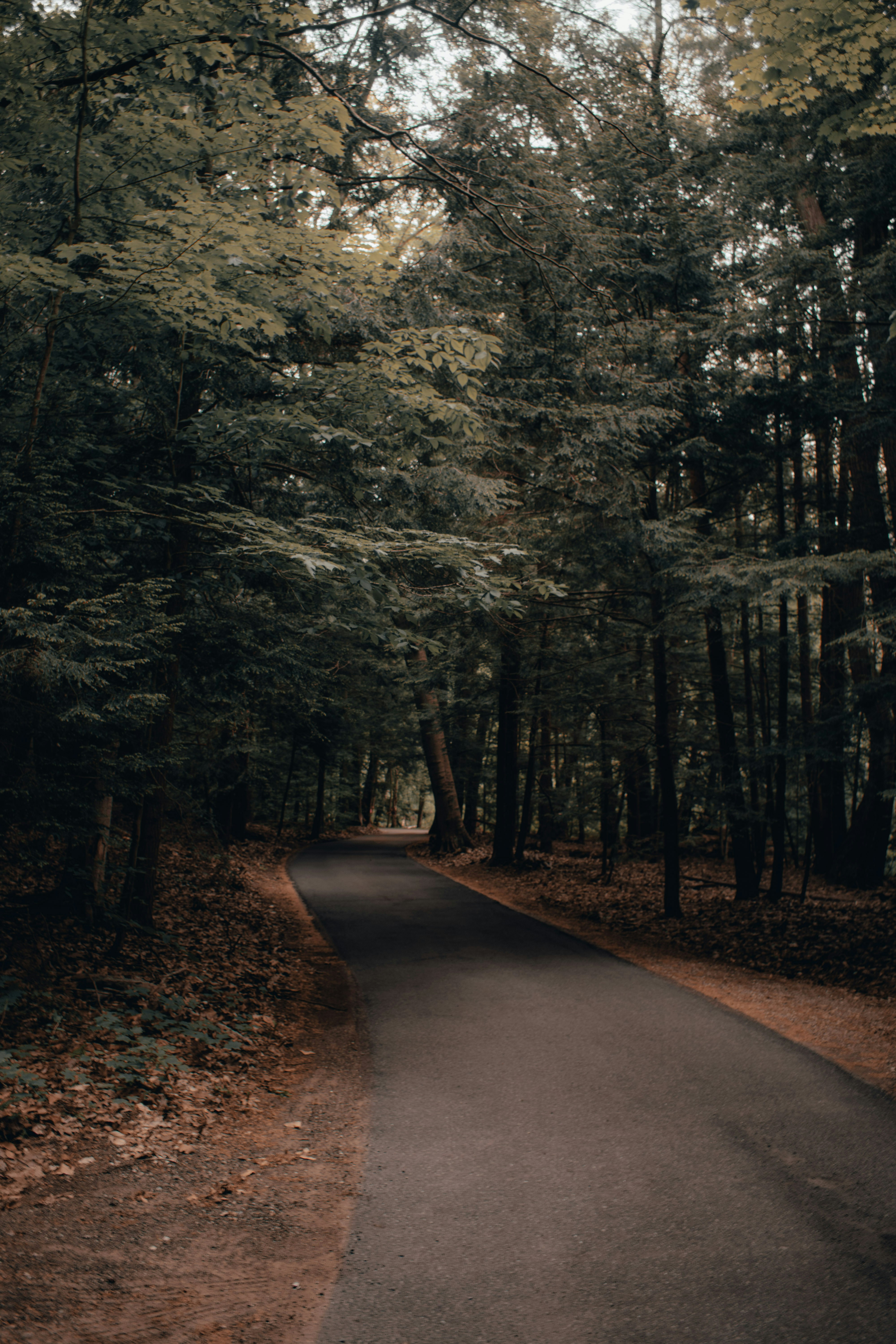 Photo by mariahhewines