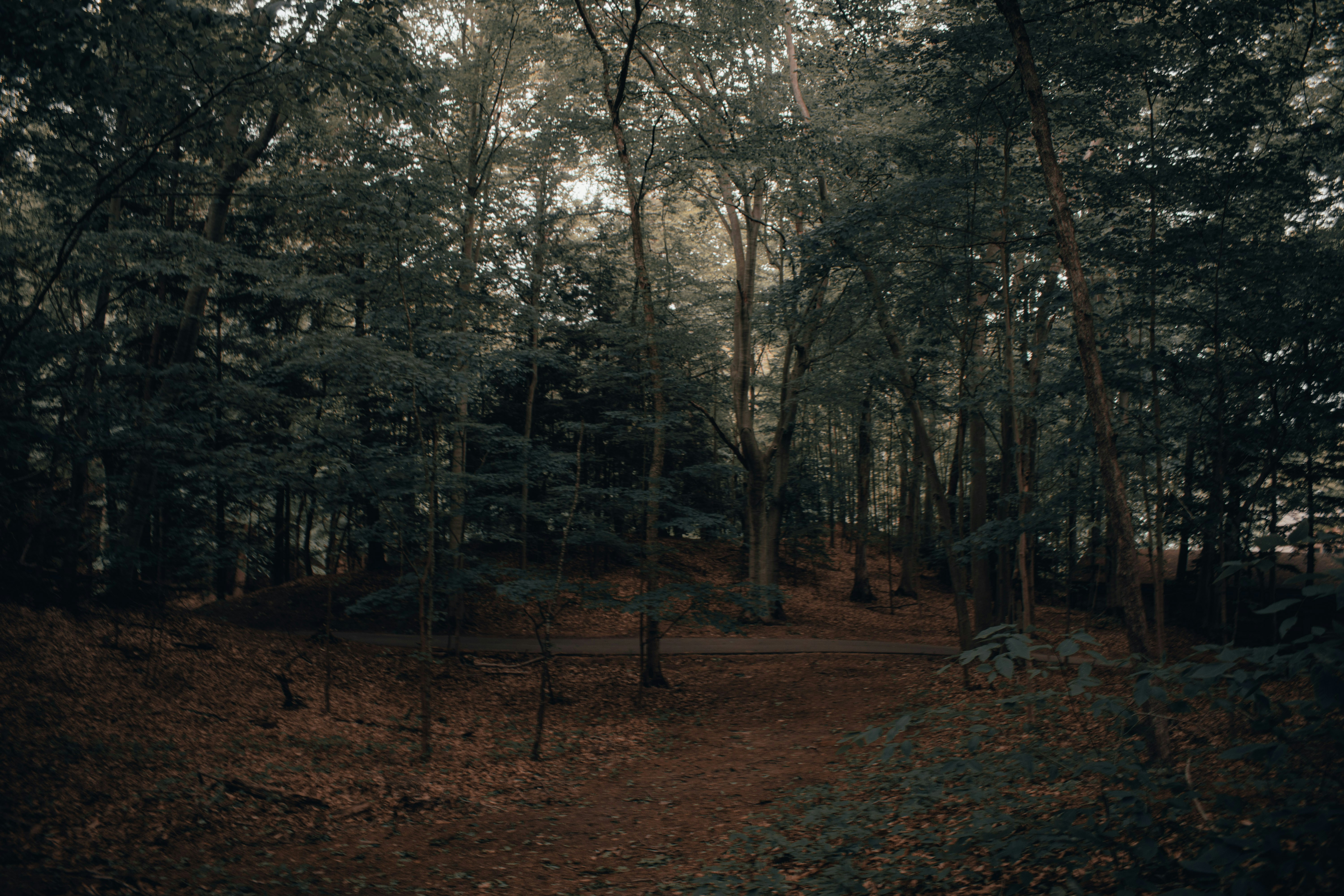 Photo by mariahhewines