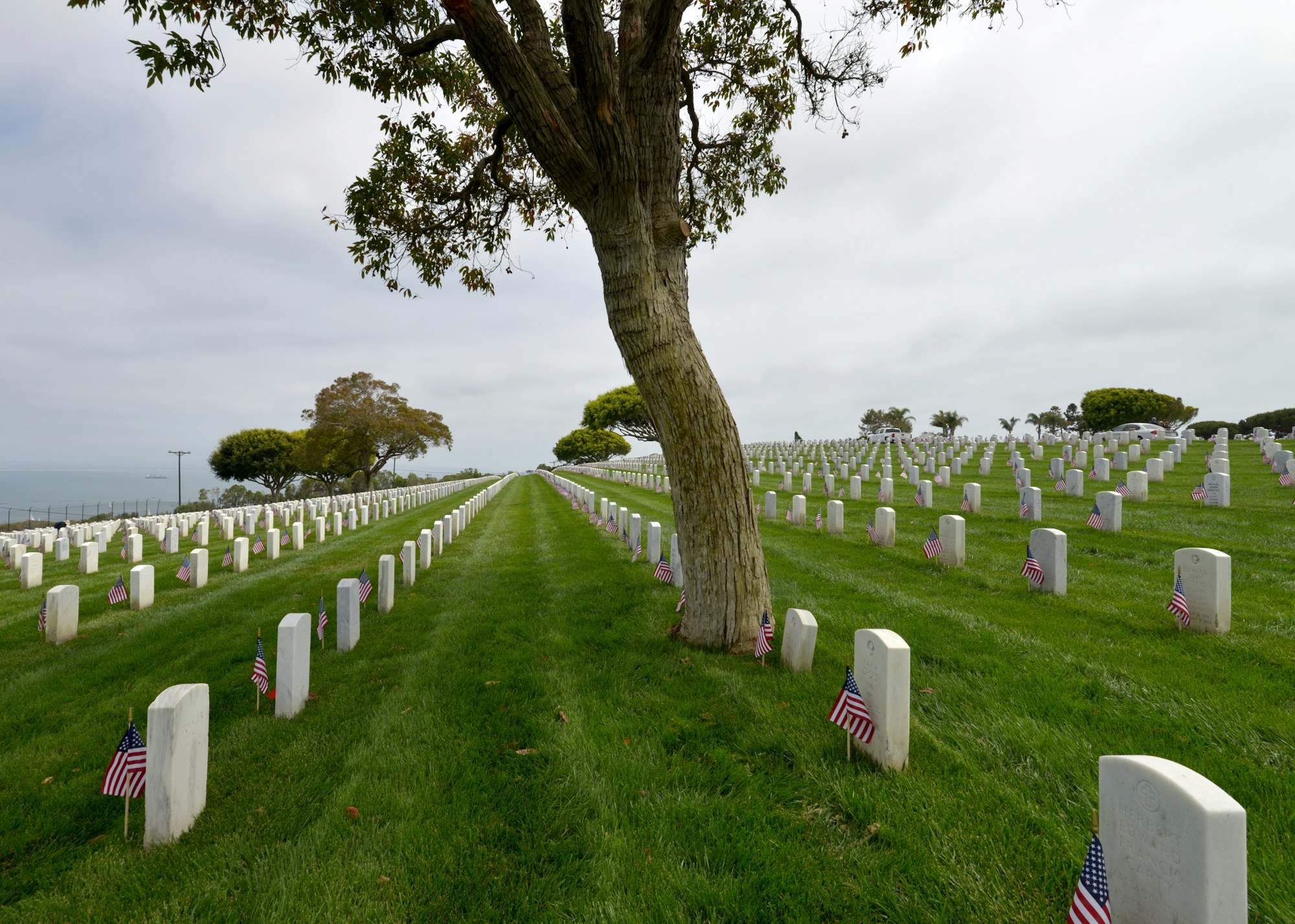 A photo of Fort Rosecrans military cemetery in Point Loma, San Diego, California.
